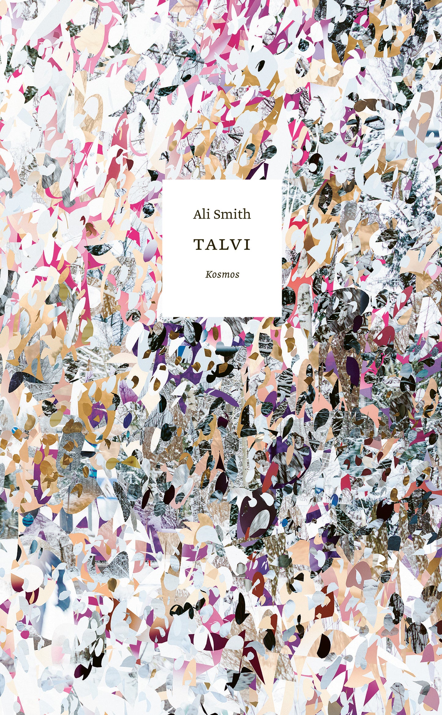 Talvi – E-bok
