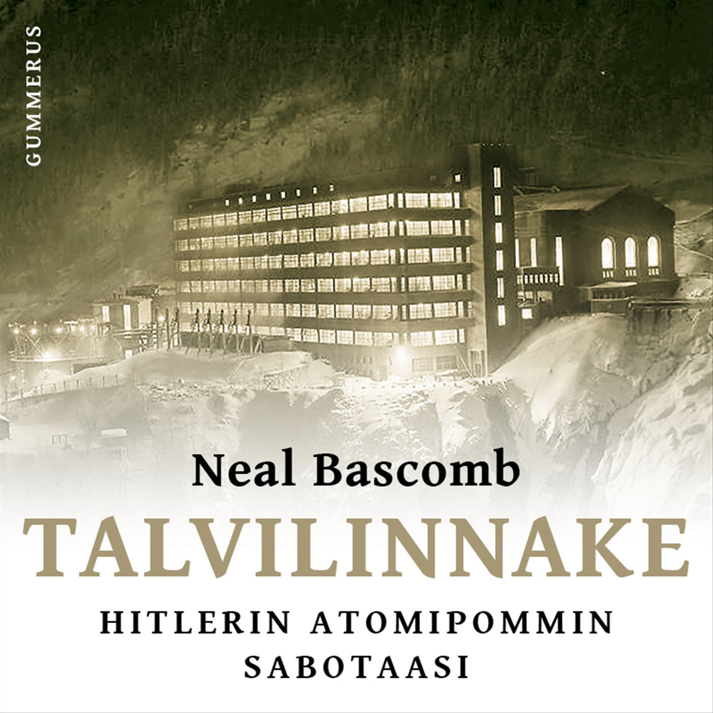 Talvilinnake – Ljudbok