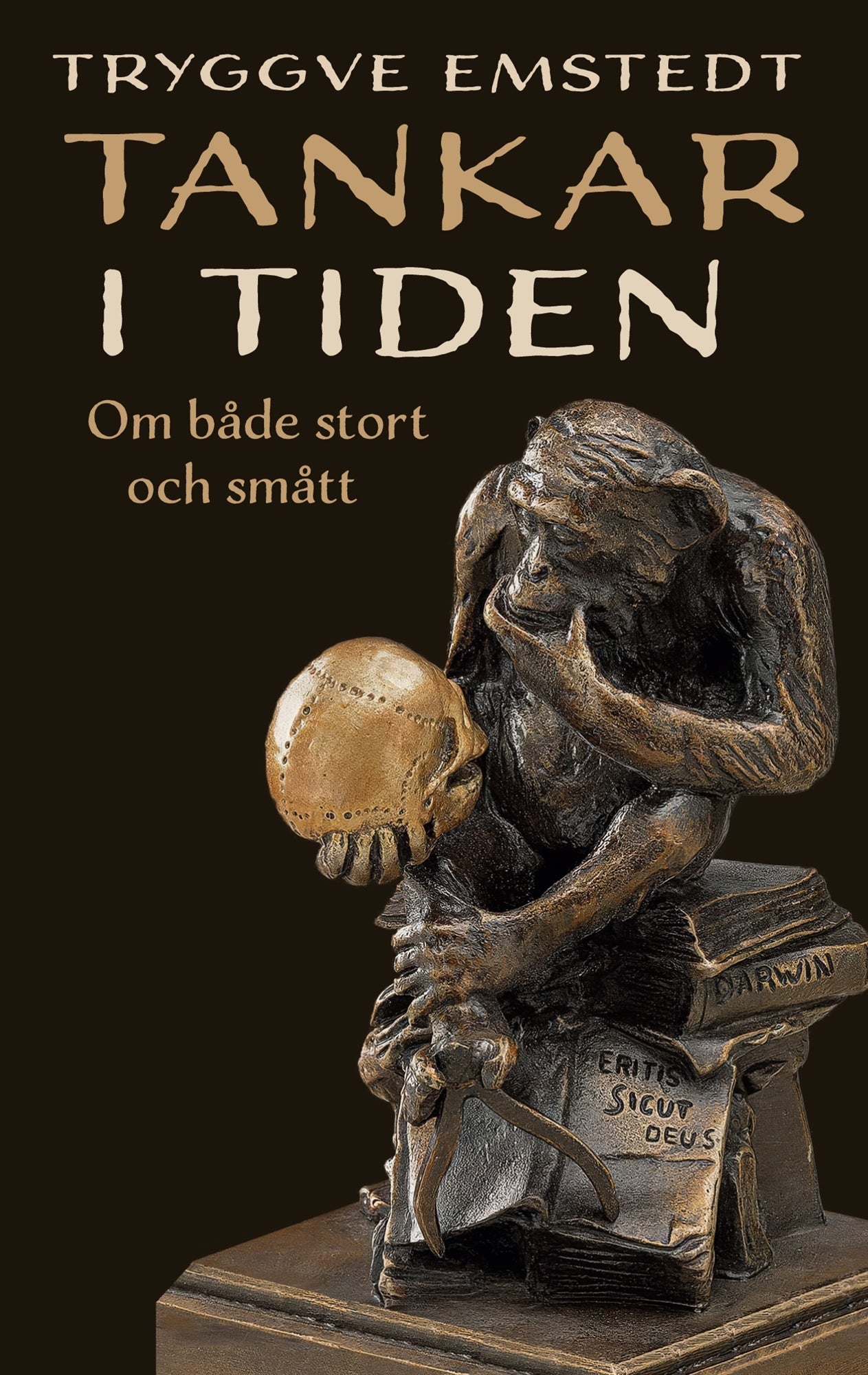 Tankar i Tiden: Om både stort och smått – E-bok