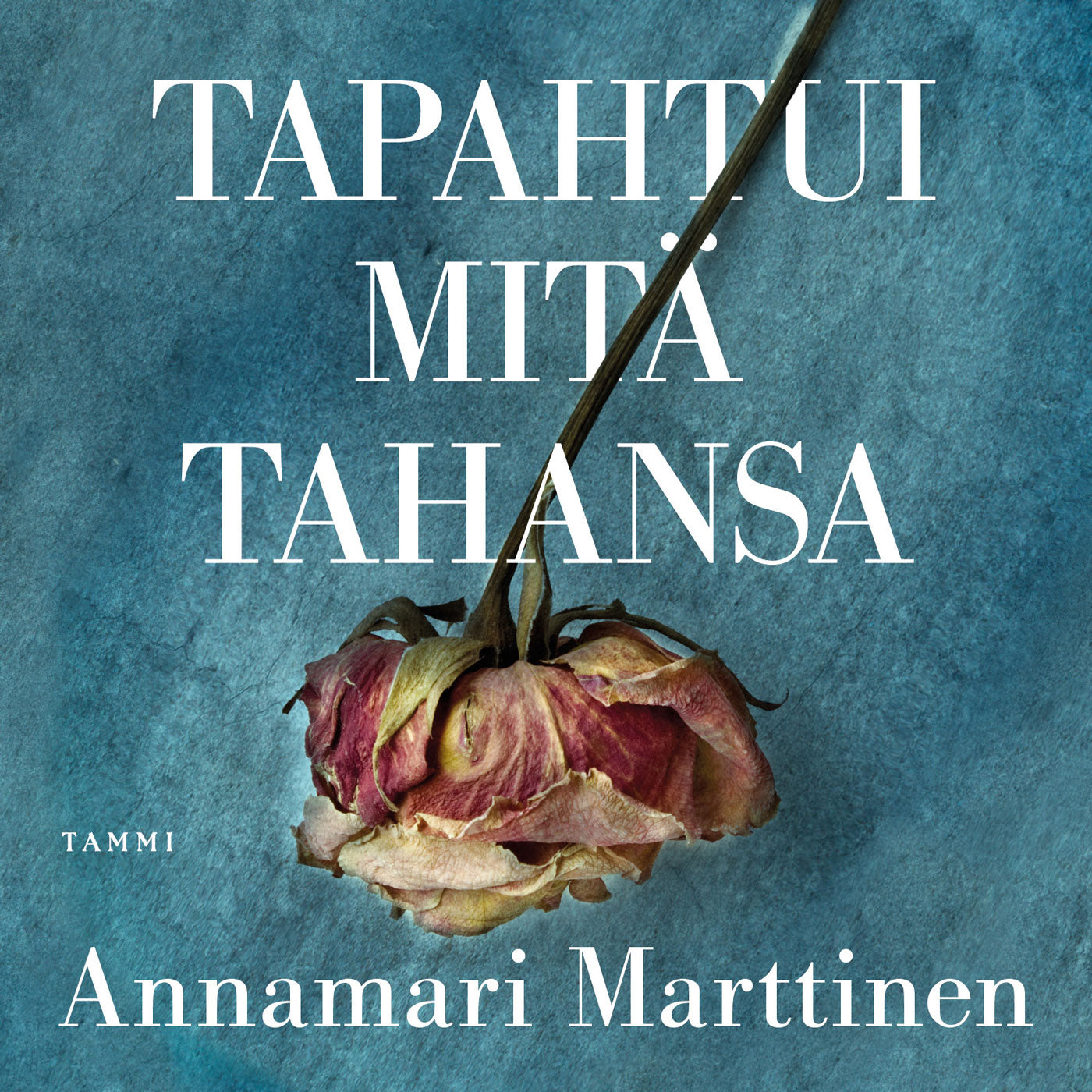 Tapahtui mitä tahansa – Ljudbok