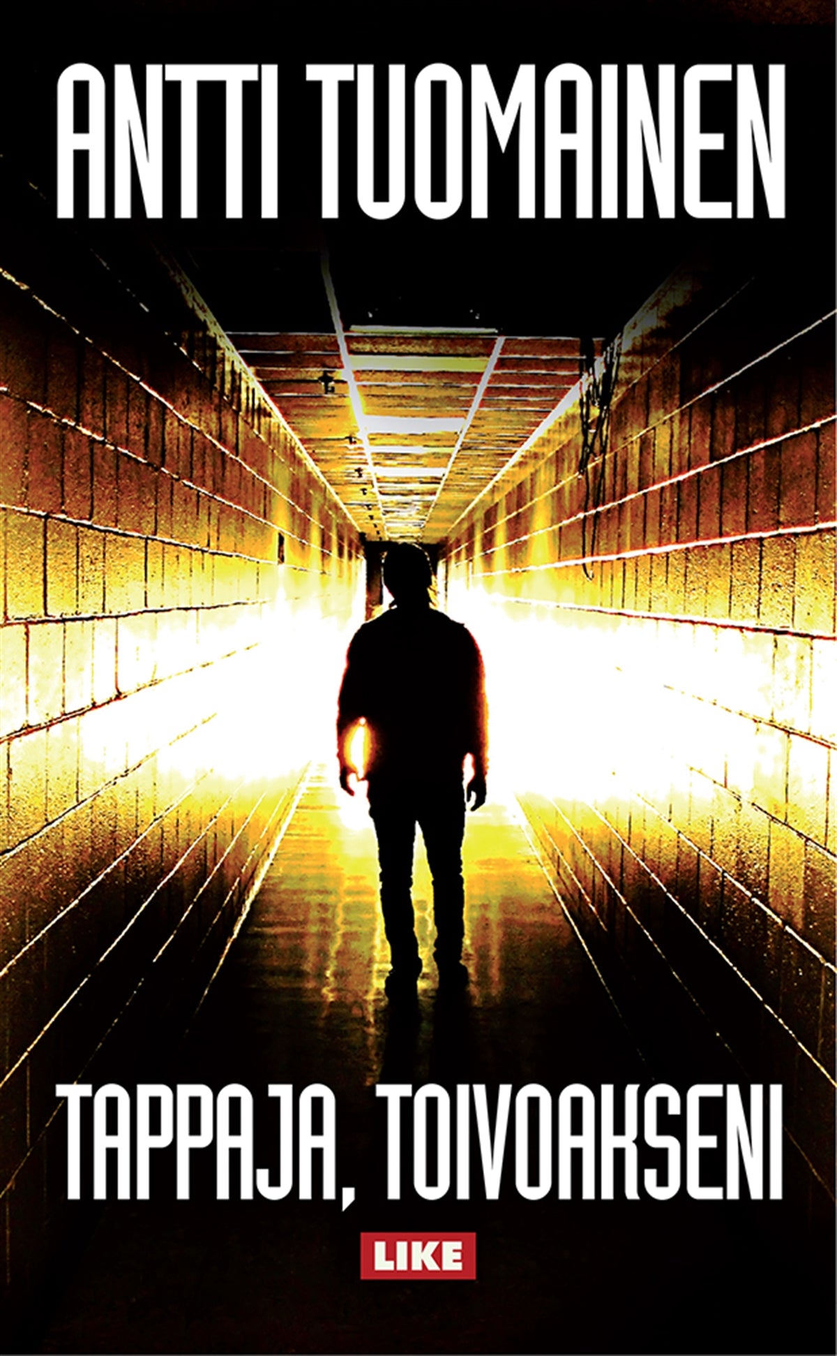 Tappaja, toivoakseni – E-bok