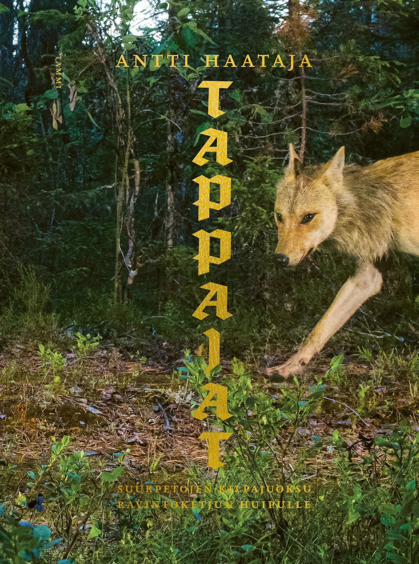 Tappajat – E-bok