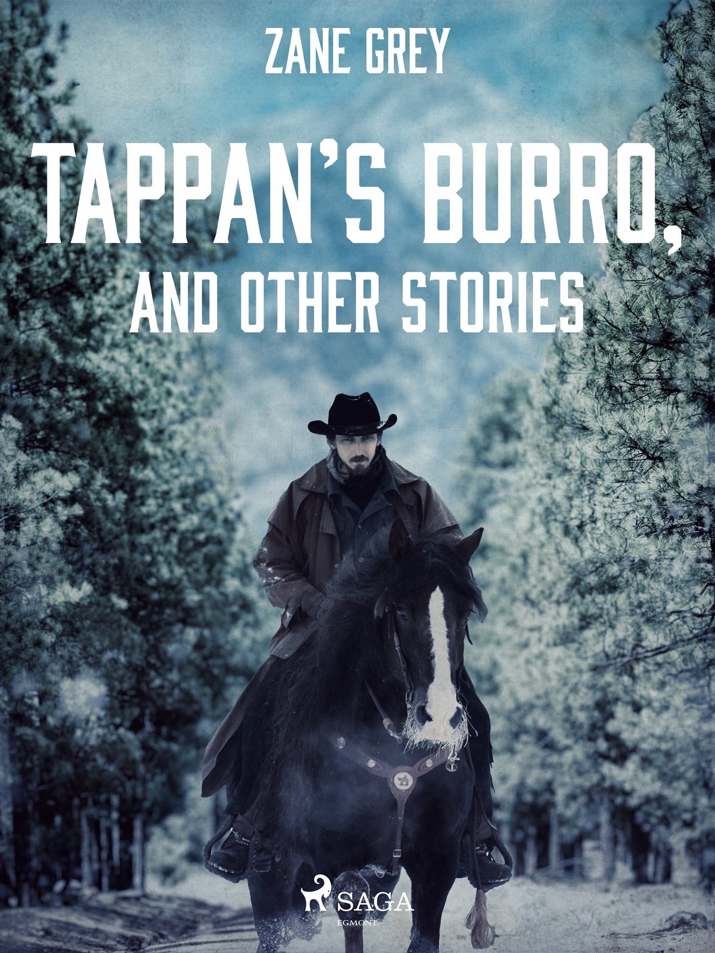 Tappan’s Burro, and Other Stories – E-bok