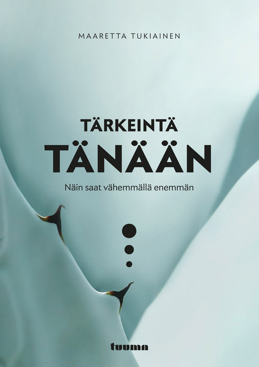 Tärkeintä tänään – E-bok