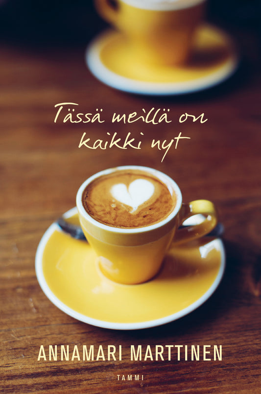 Tässä meillä on kaikki nyt – E-bok