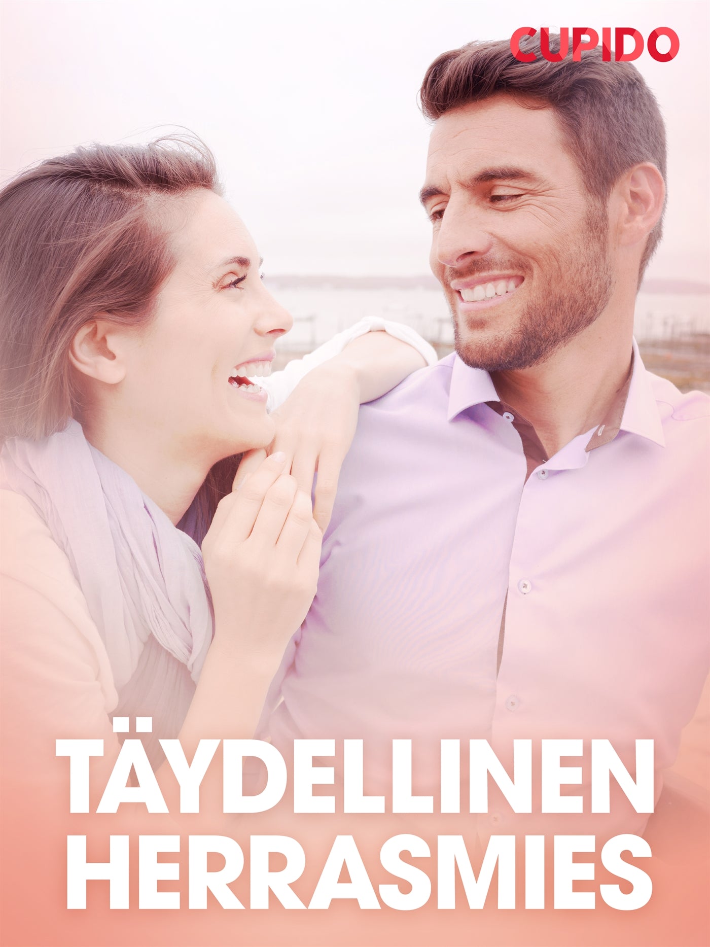 Täydellinen herrasmies – eroottinen novelli – E-bok
