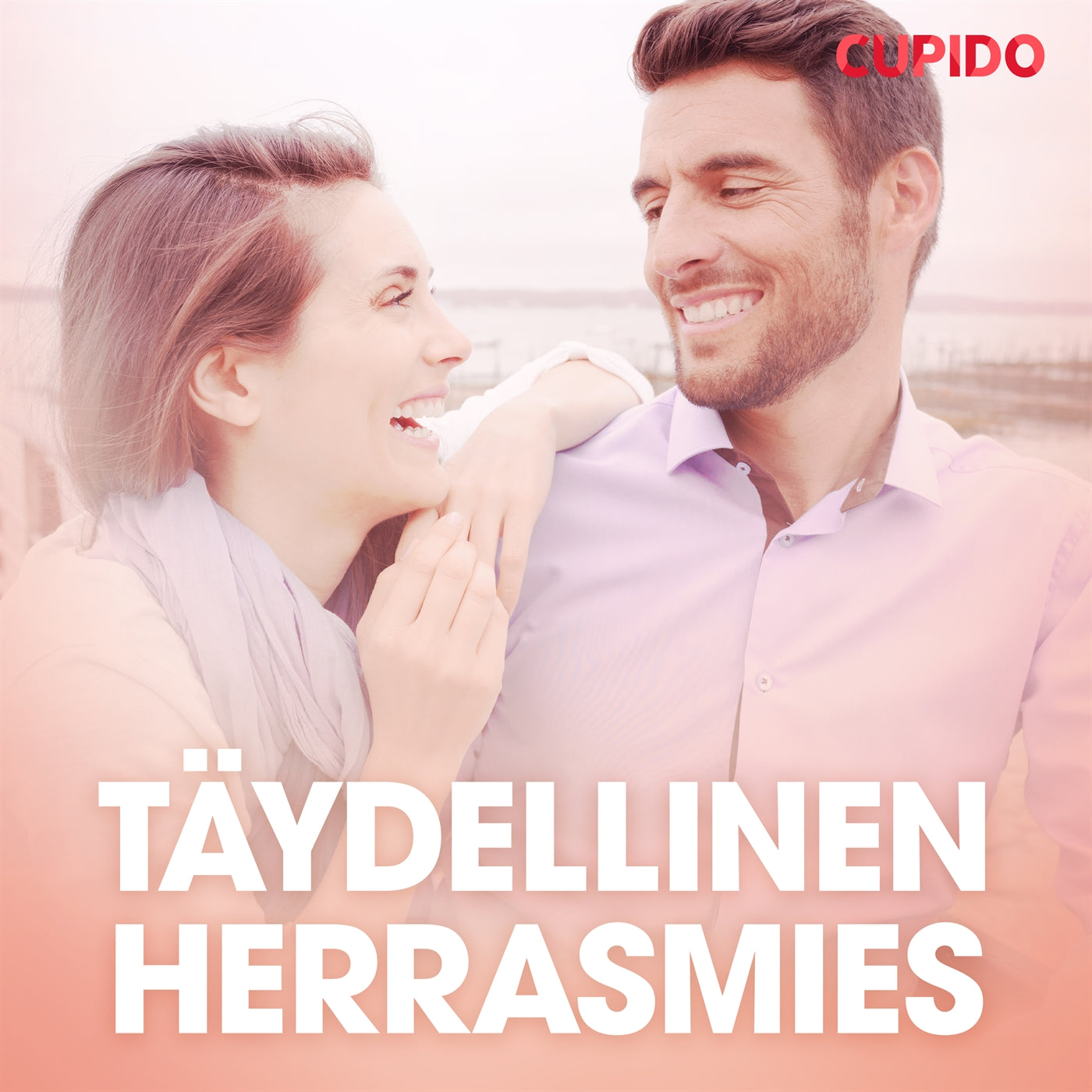 Täydellinen herrasmies – eroottinen novelli – Ljudbok