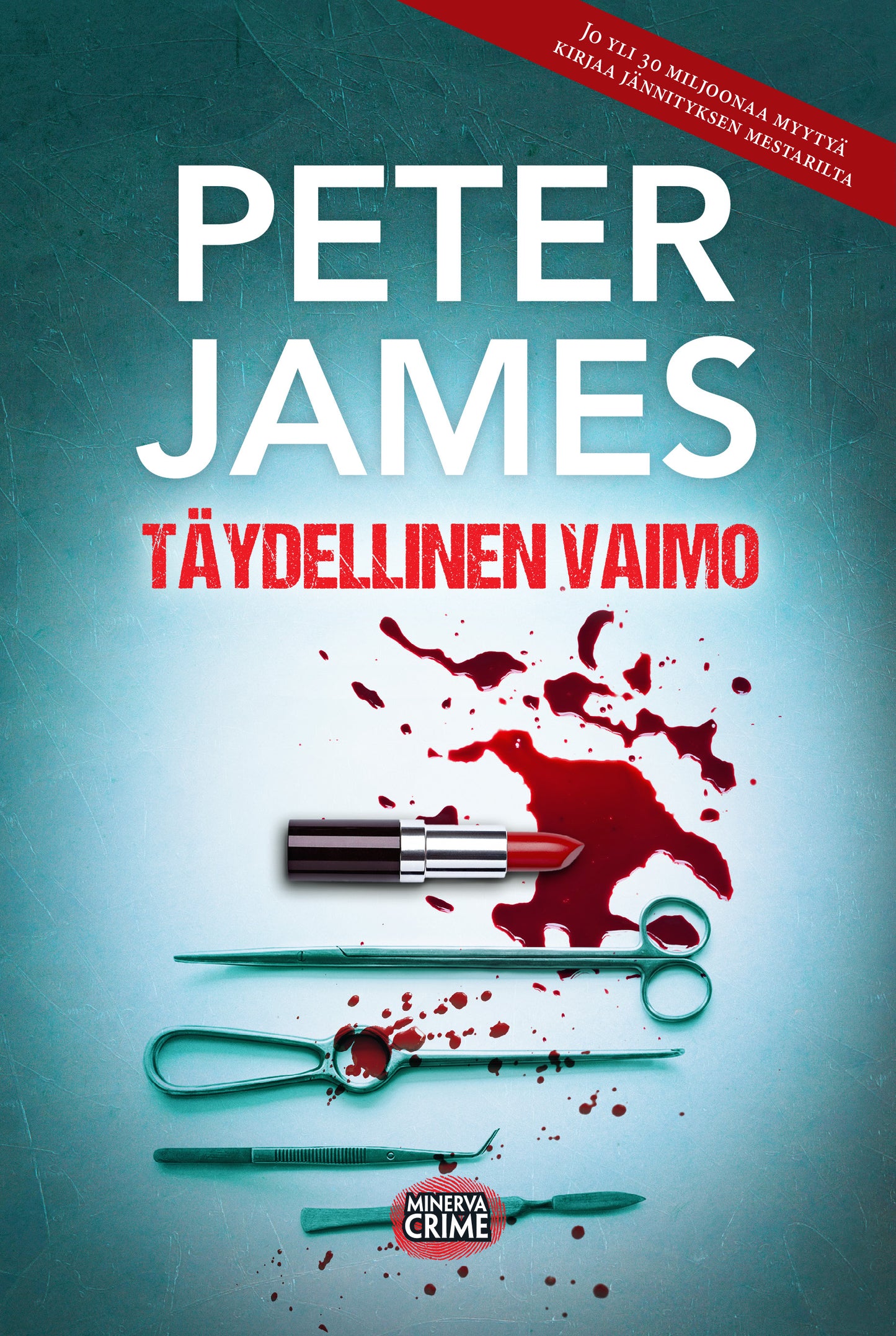Täydellinen vaimo – E-bok