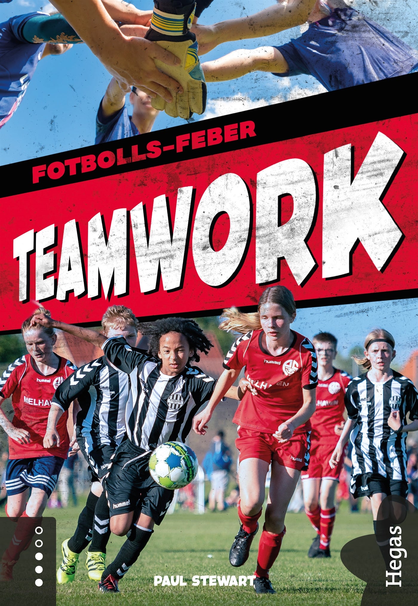 Teamwork – E-bok