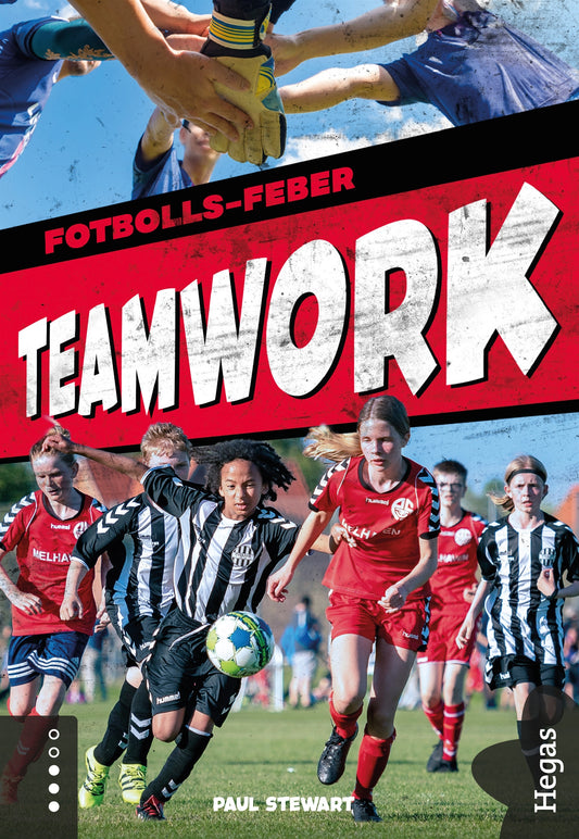 Teamwork – E-bok