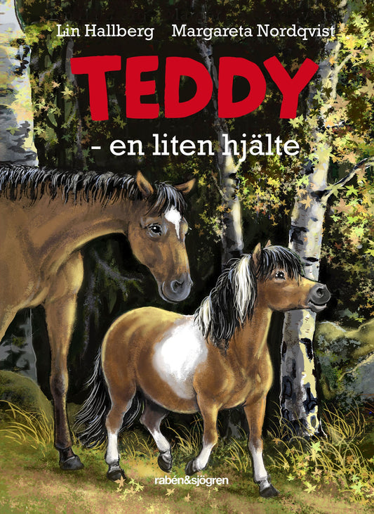 Teddy - en liten hjälte – E-bok
