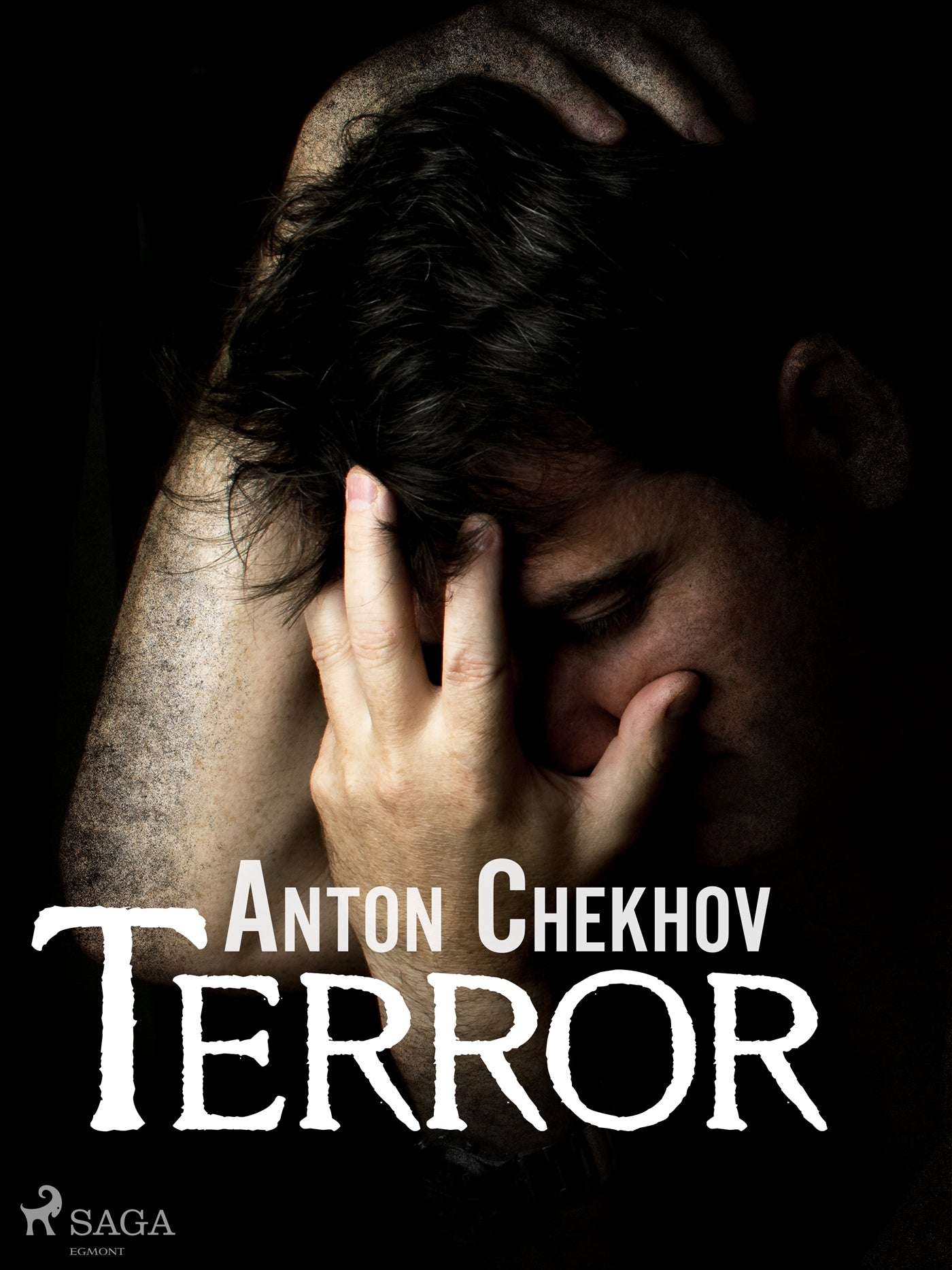 Terror – E-bok