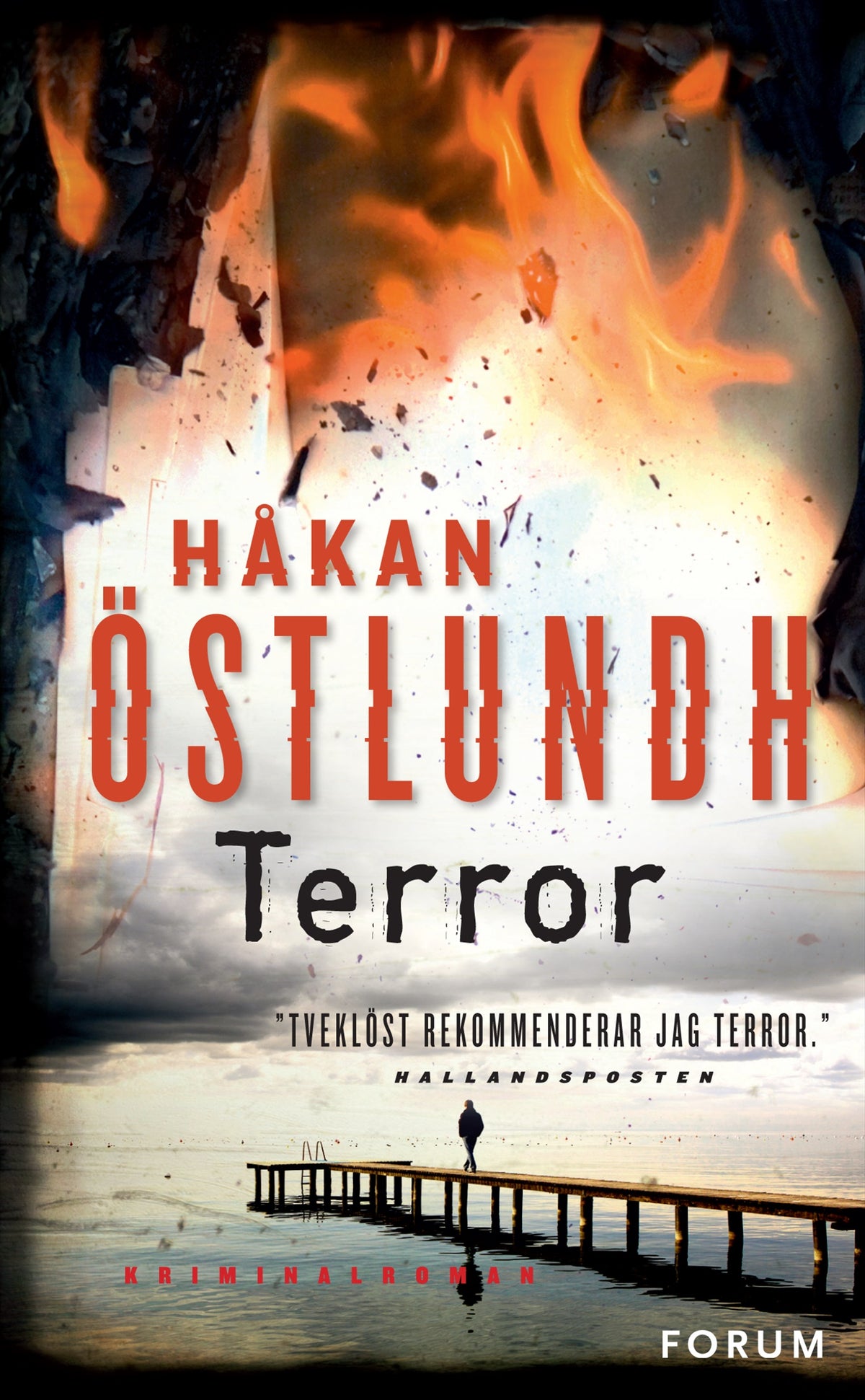 Terror – E-bok