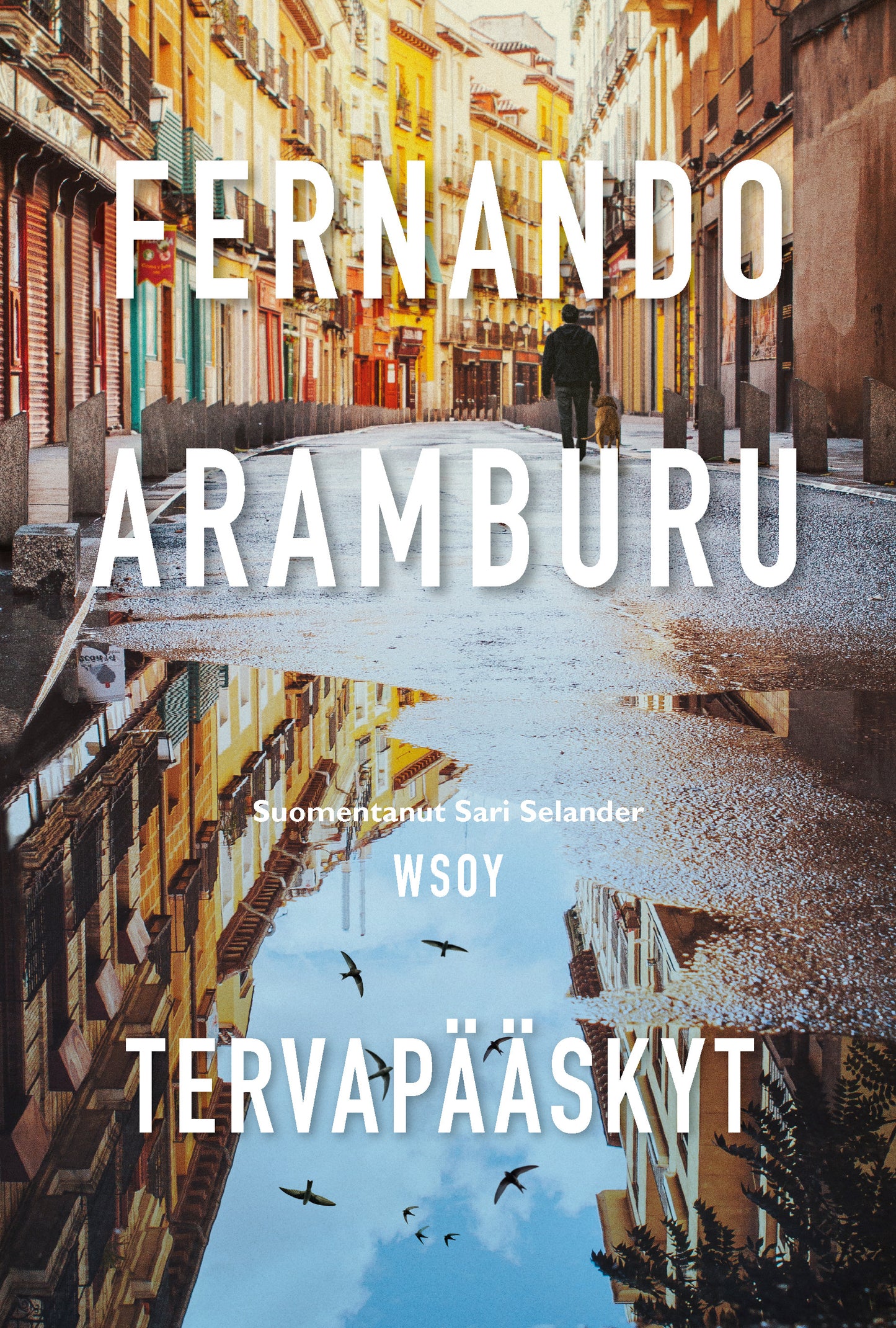 Tervapääskyt – E-bok