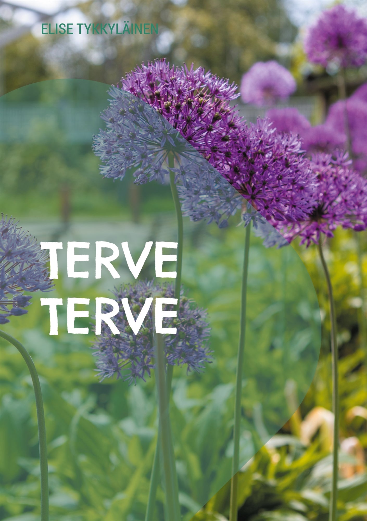 Terve terve – E-bok