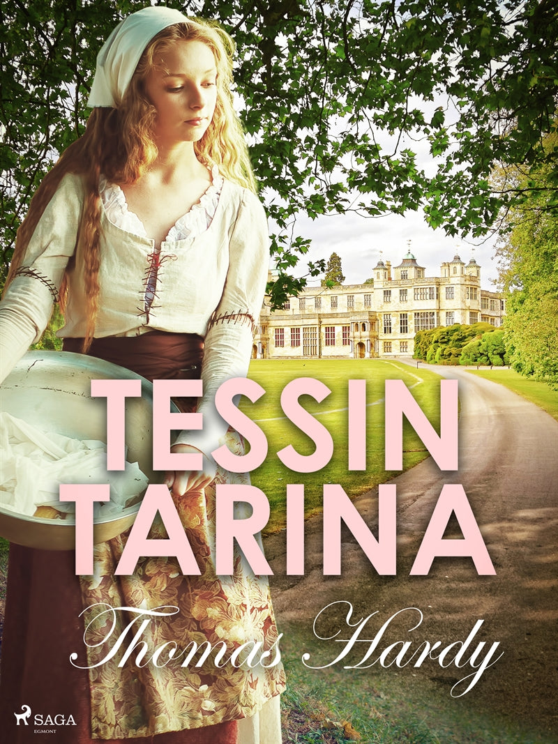 Tessin tarina – E-bok