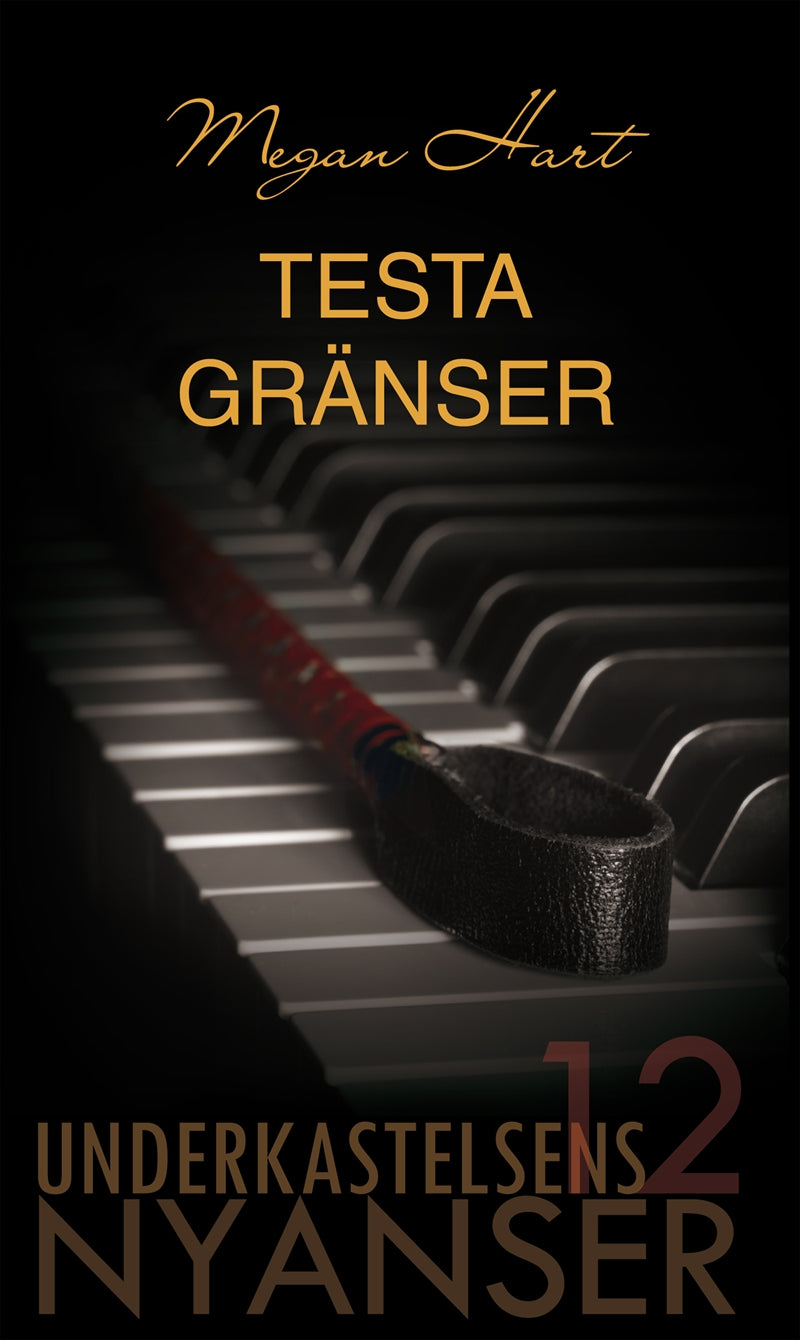 Testa gränser – E-bok