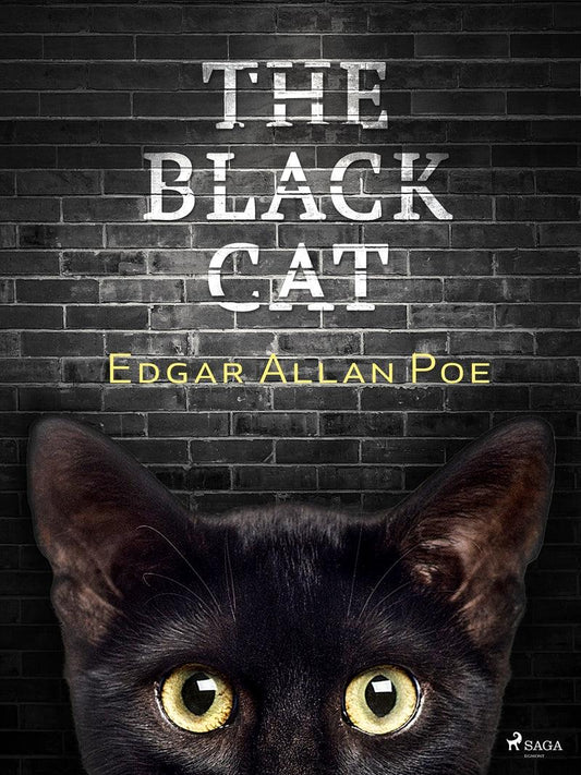 The Black Cat – E-bok