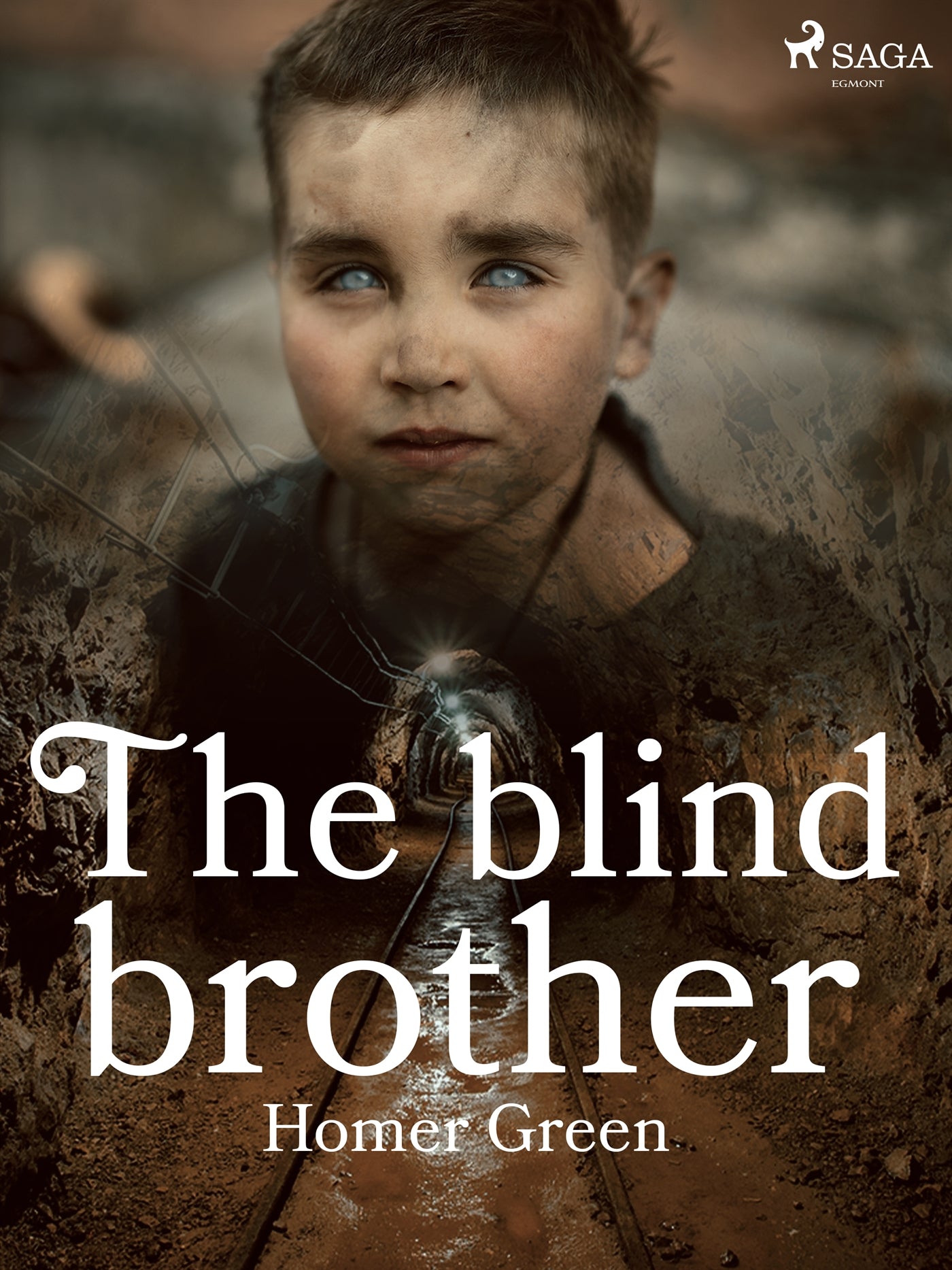 The Blind Brother – E-bok
