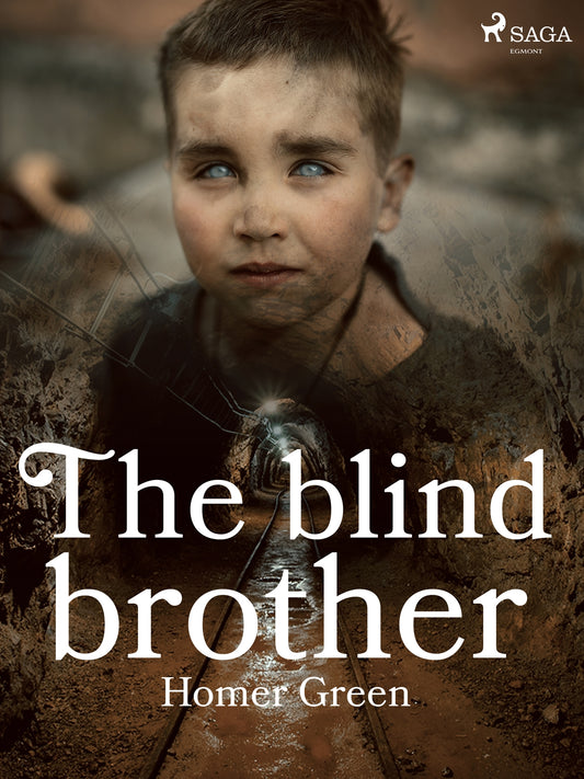 The Blind Brother – E-bok
