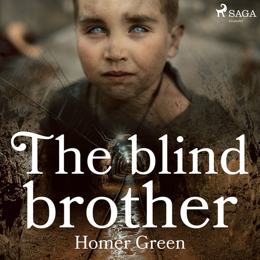 The Blind Brother – Ljudbok