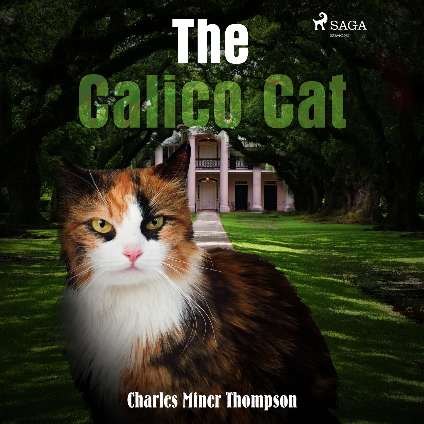 The Calico Cat – Ljudbok