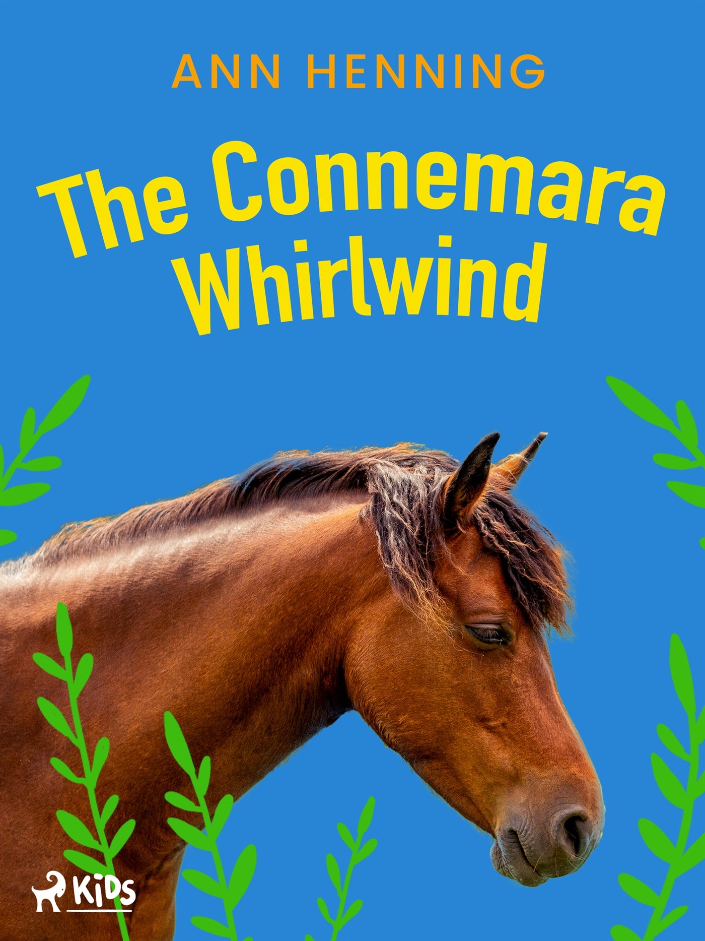 The Connemara Whirlwind – E-bok