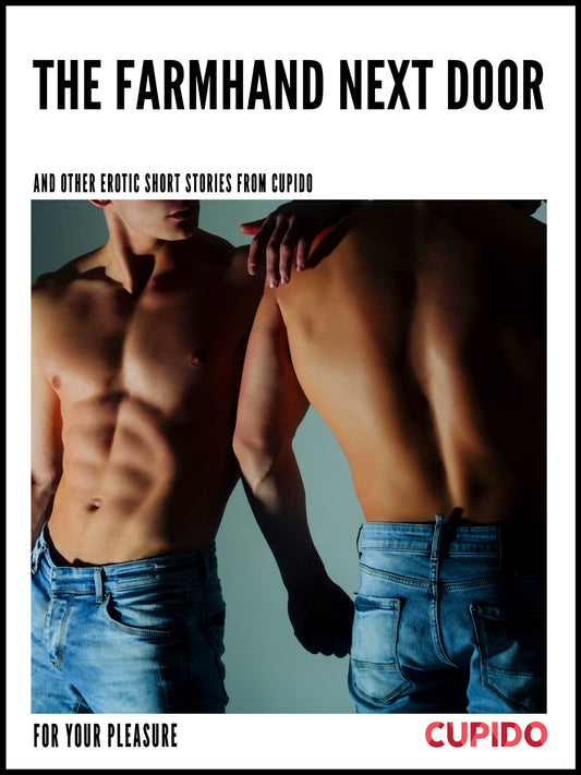 The Farmhand Next Door - and other erotic short stories – E-bok