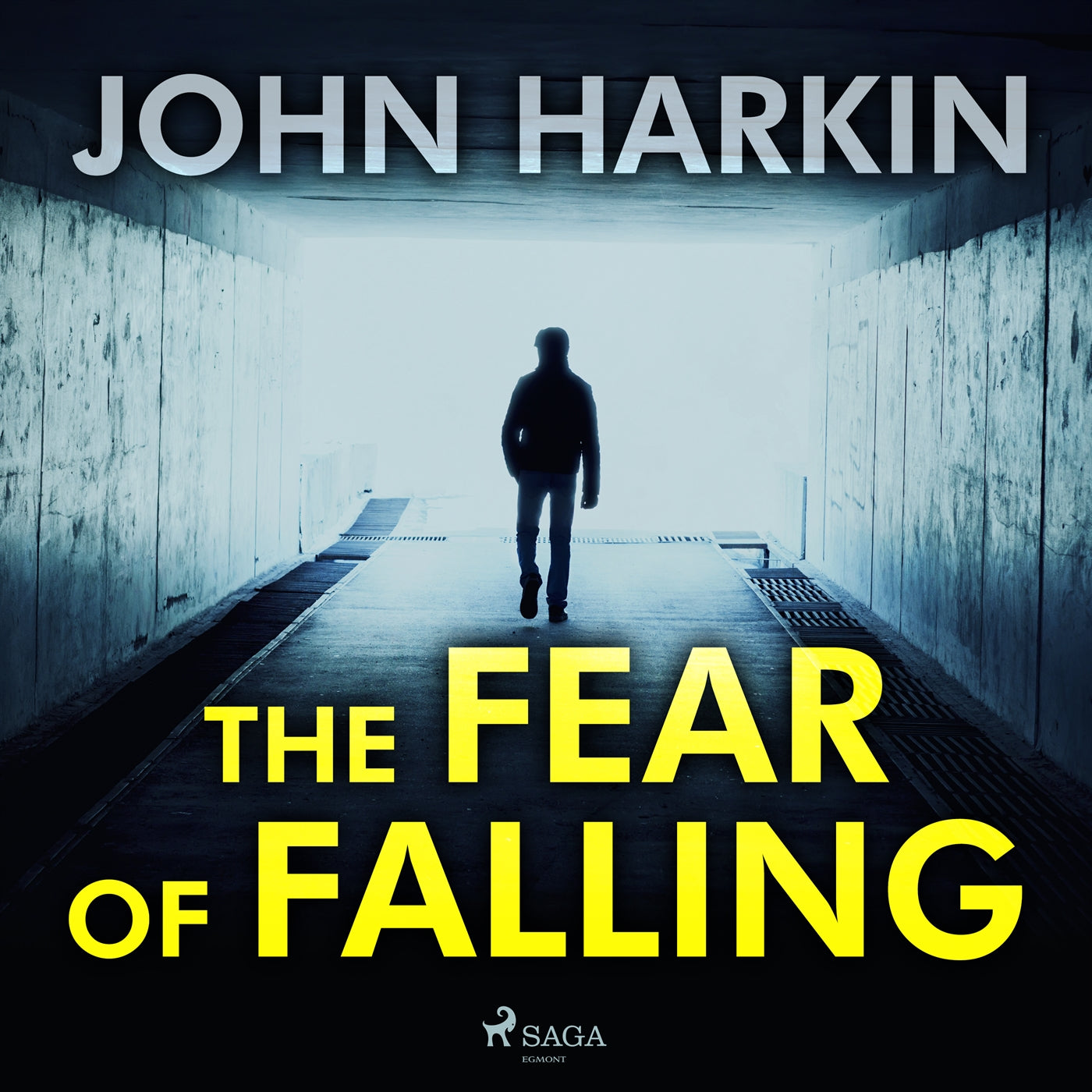 The Fear of Falling – Ljudbok