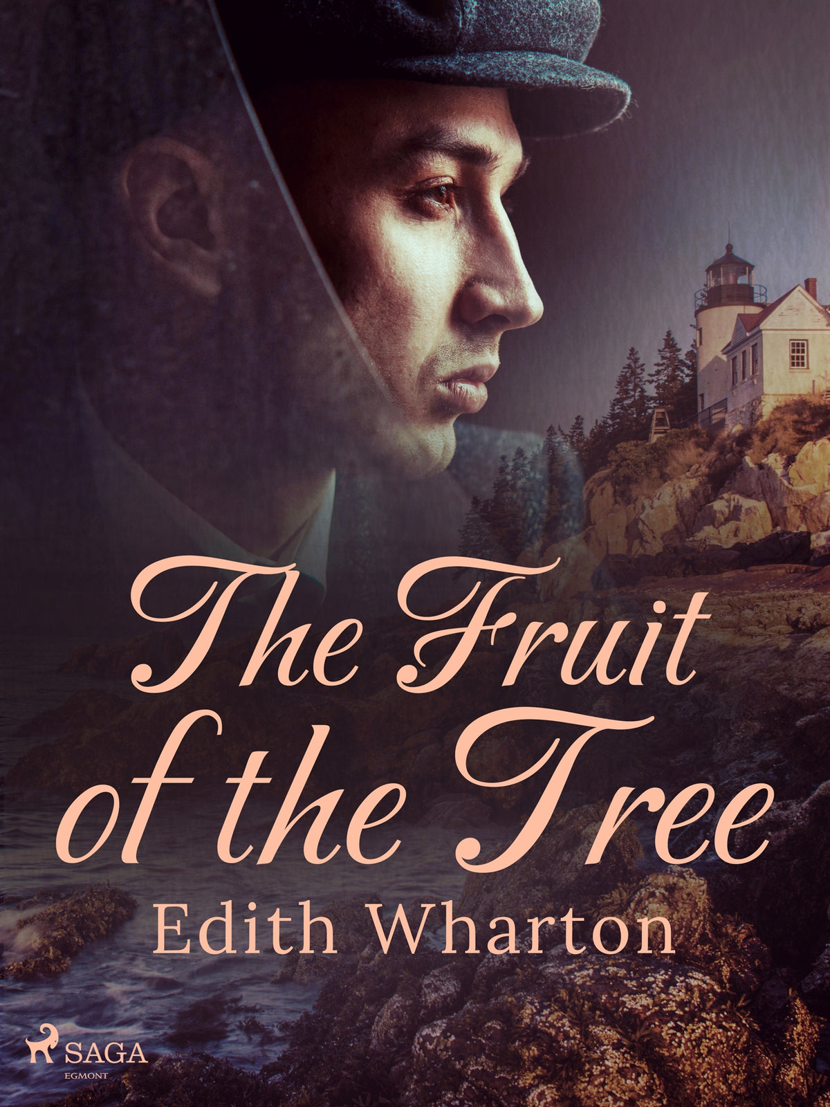 The Fruit of the Tree – E-bok