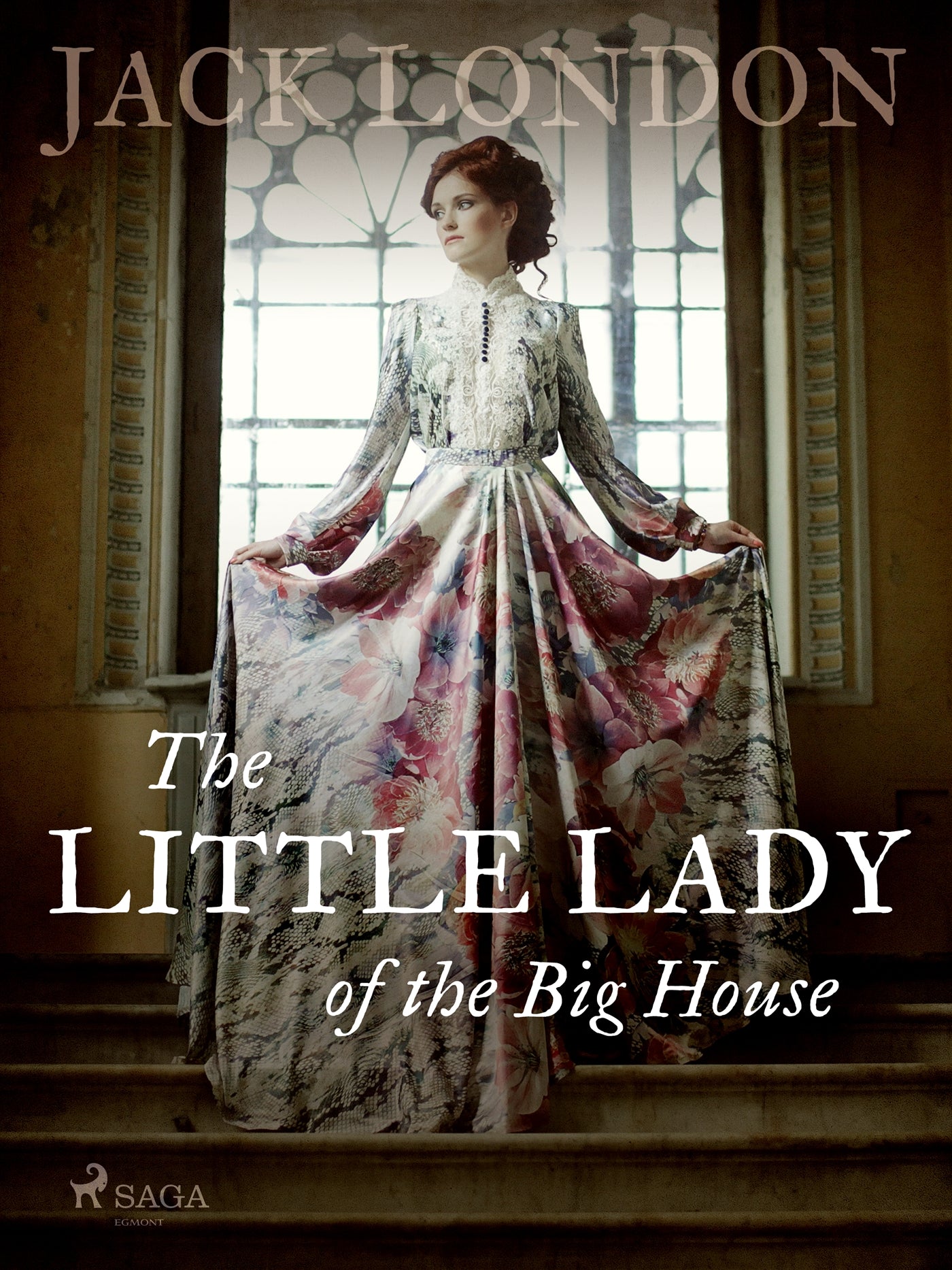 The Little Lady of the Big House – E-bok