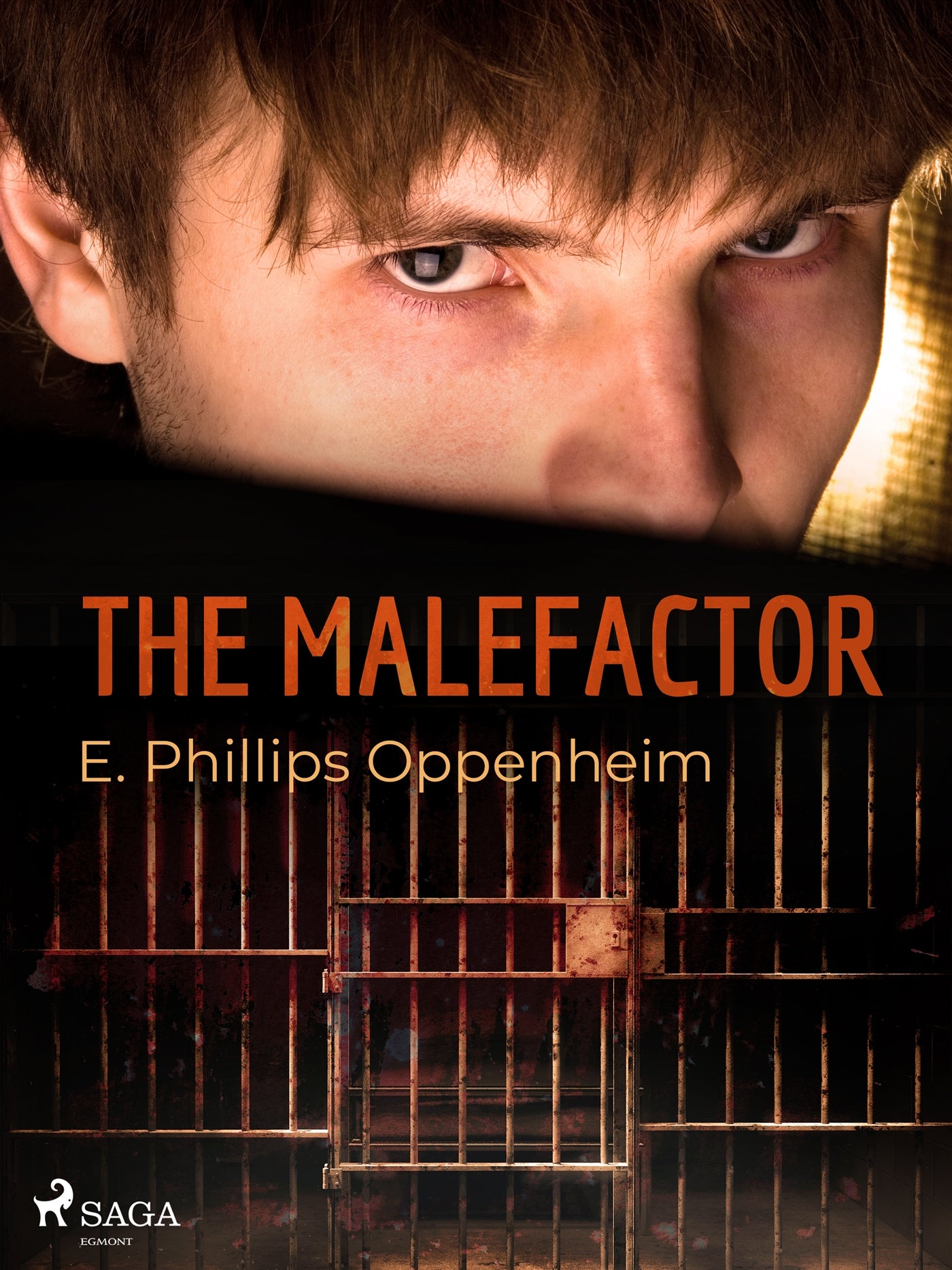 The Malefactor – E-bok