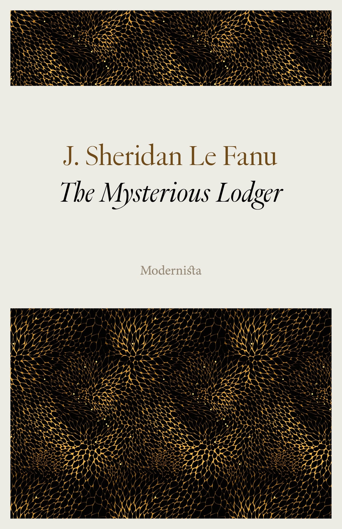 The Mysterious Lodger – E-bok
