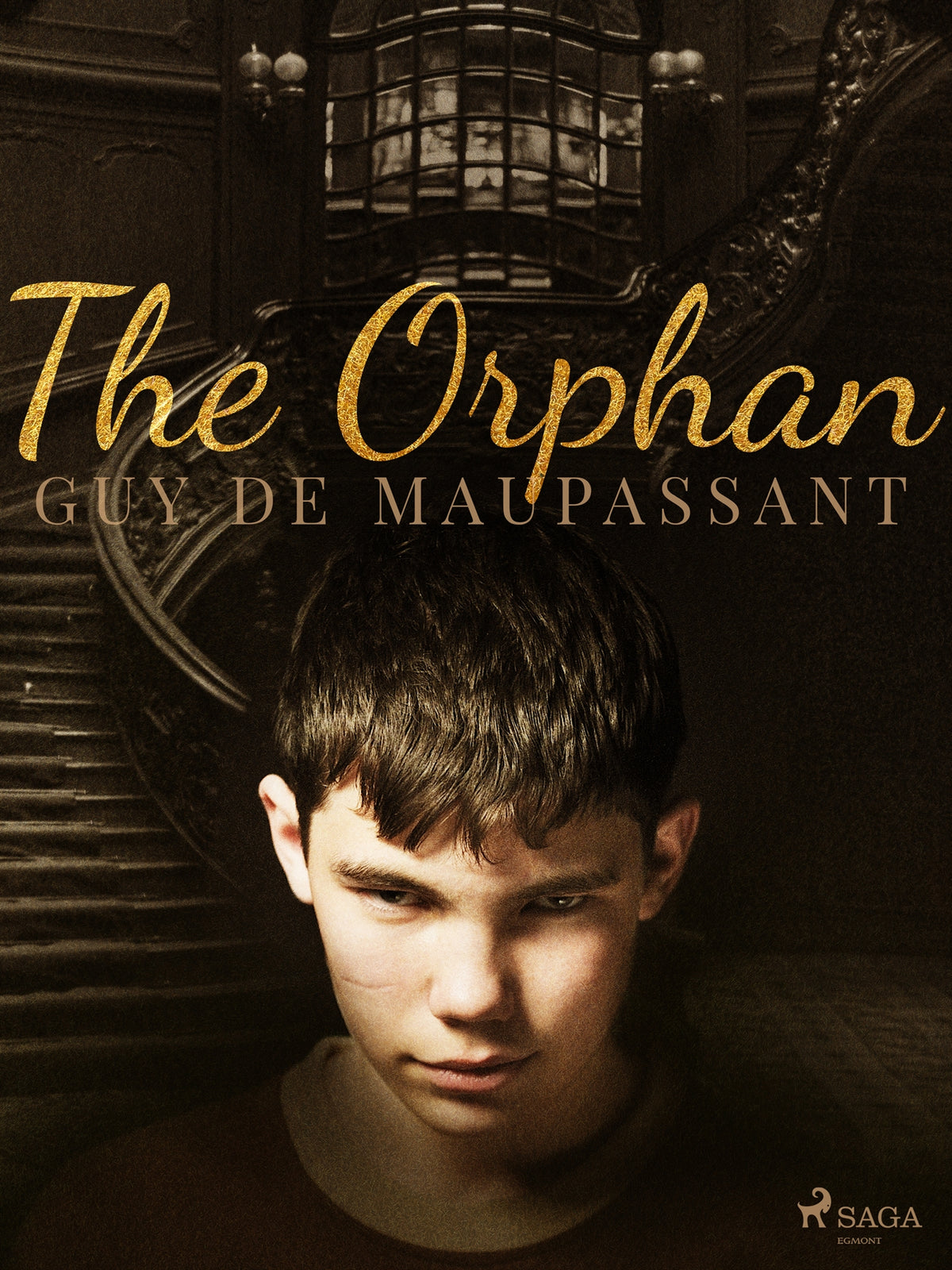 The Orphan – E-bok