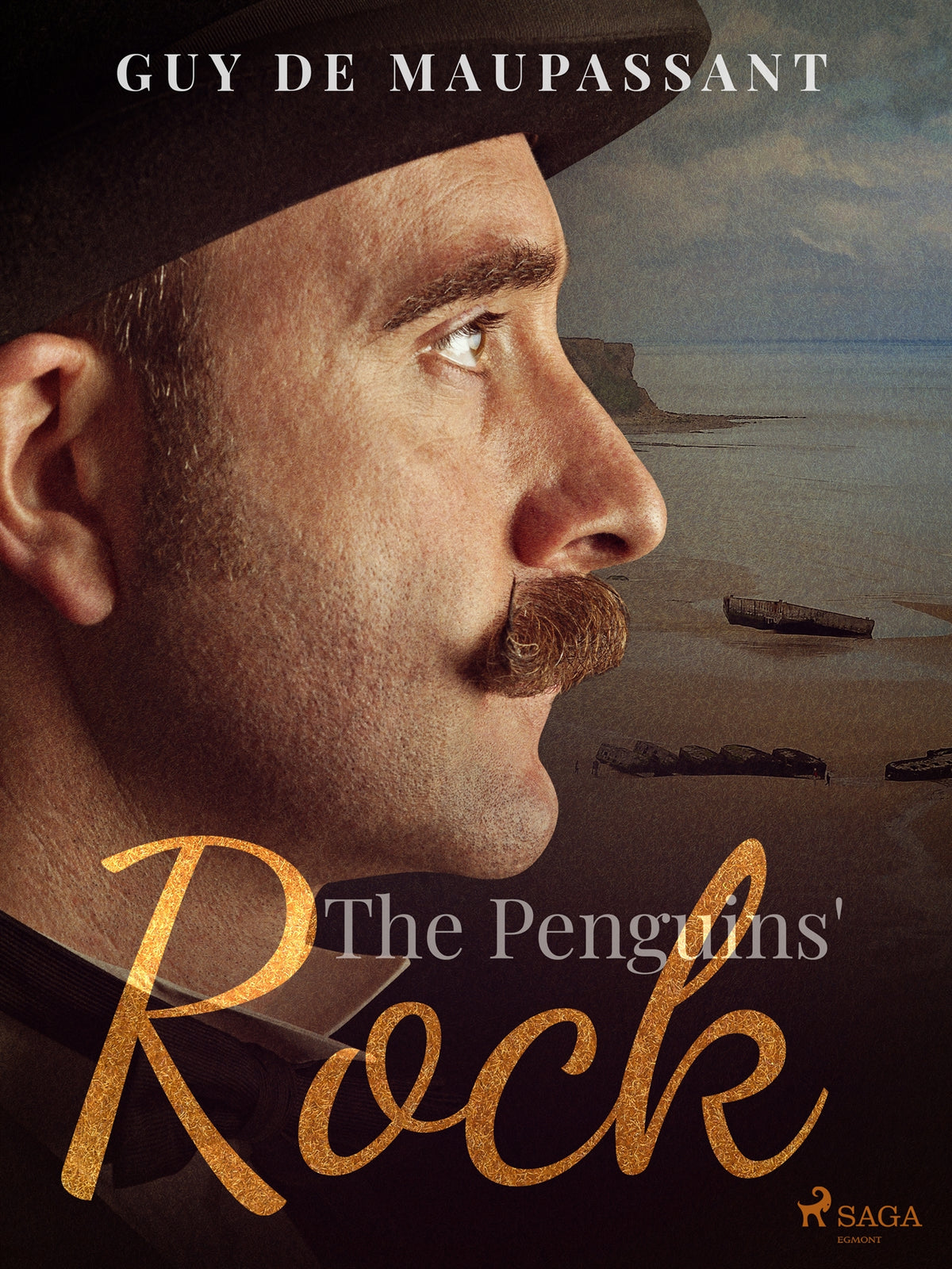 The Penguins' Rock – E-bok