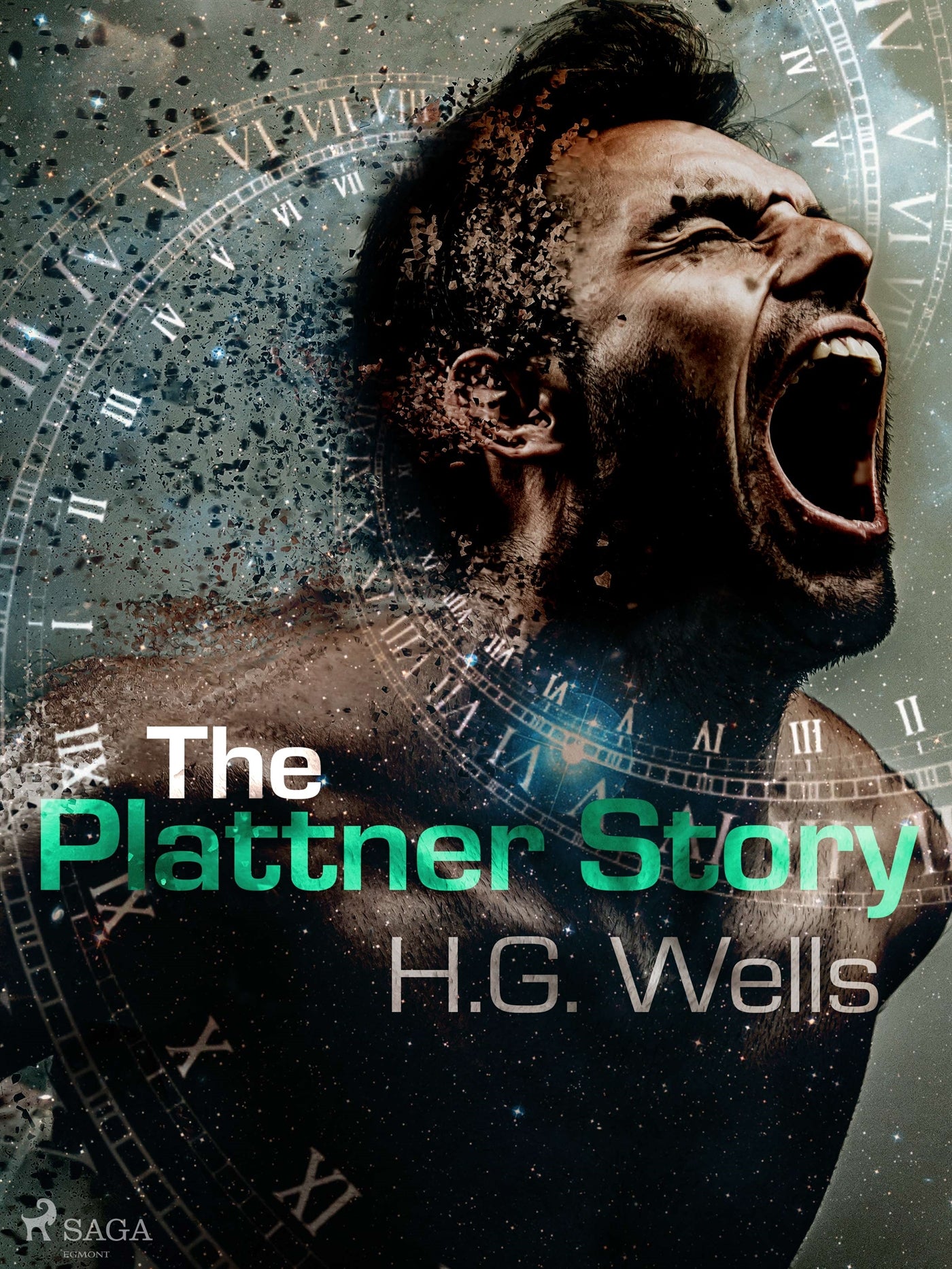 The Plattner Story – E-bok
