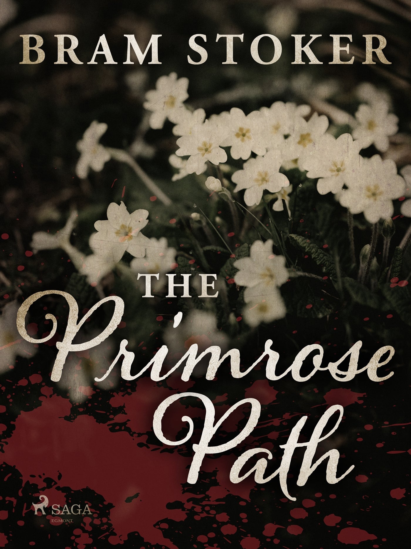 The Primrose Path – E-bok