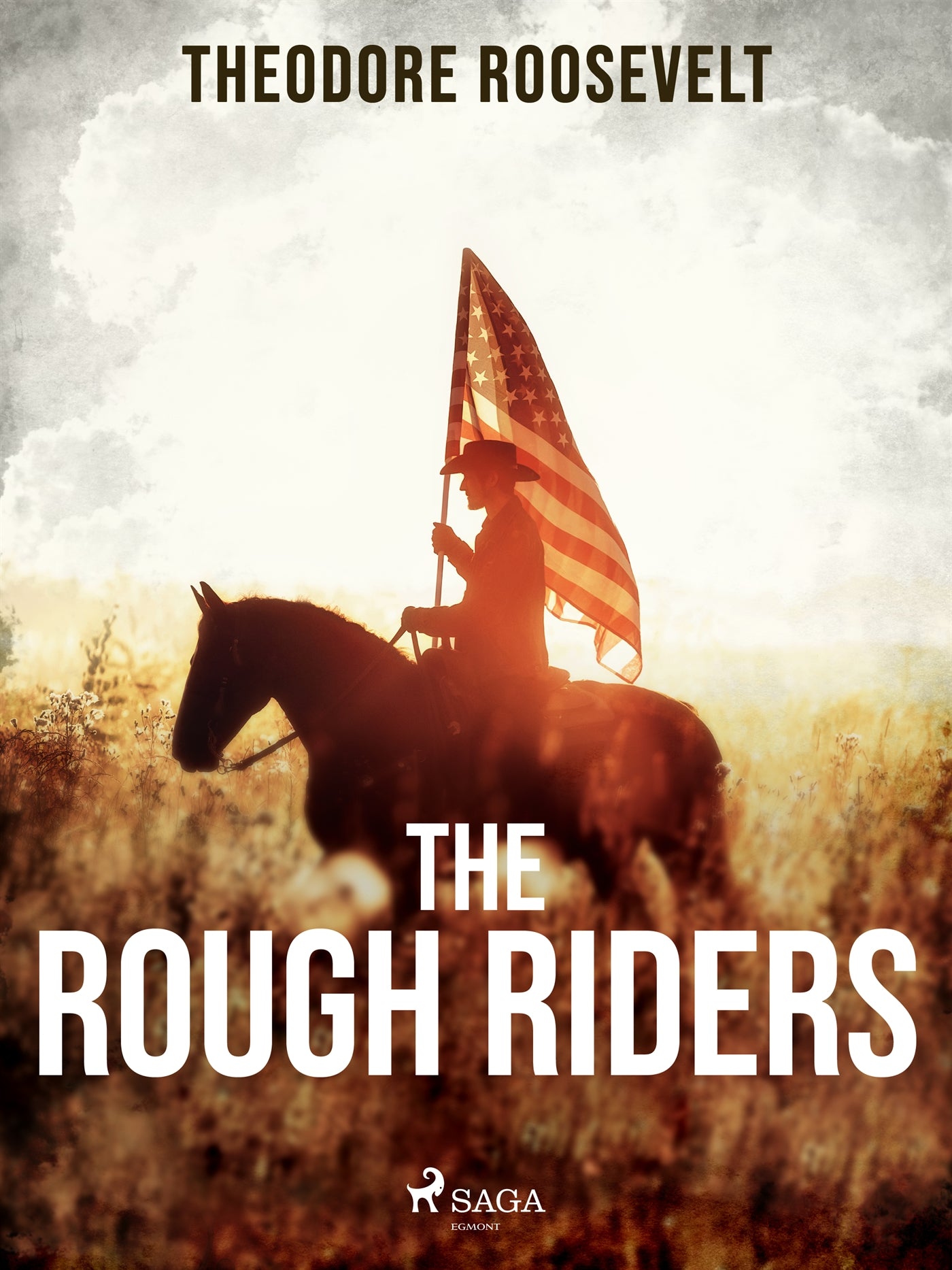 The Rough Riders – E-bok