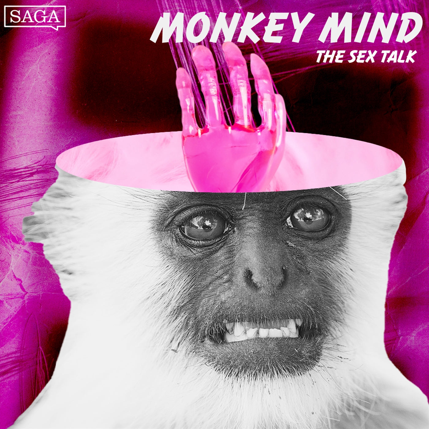 The Sex Talk – Ljudbok