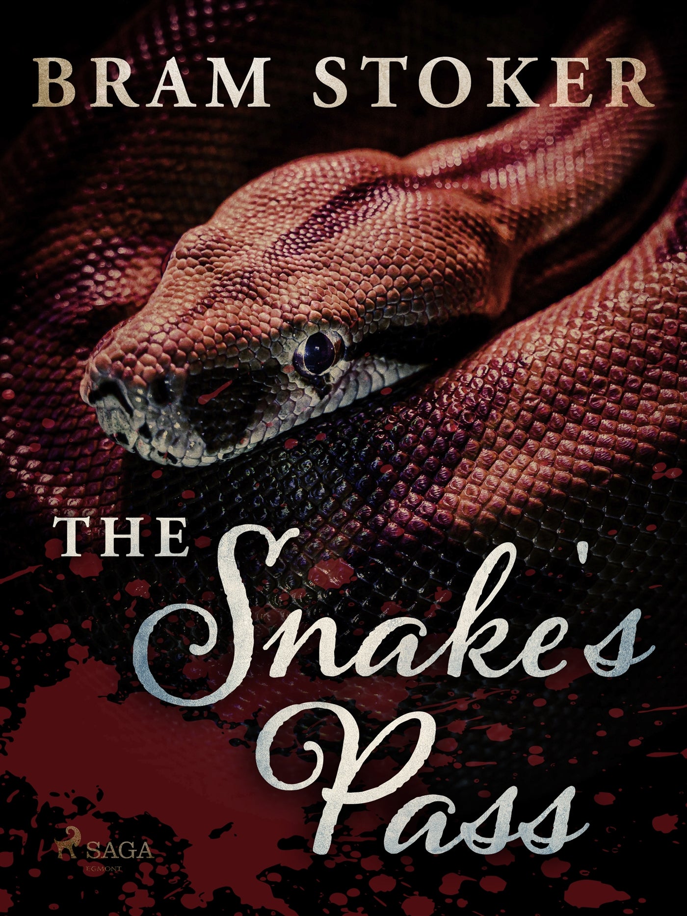 The Snake's Pass – E-bok
