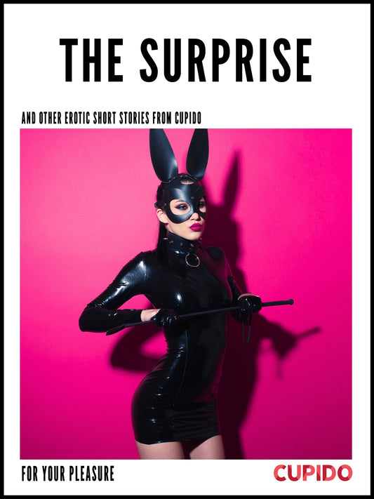 The Surprise - and other erotic short stories – E-bok