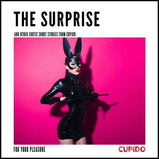 The Surprise - and other erotic short stories from Cupido – Ljudbok