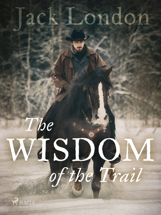 The Wisdom of the Trail – E-bok