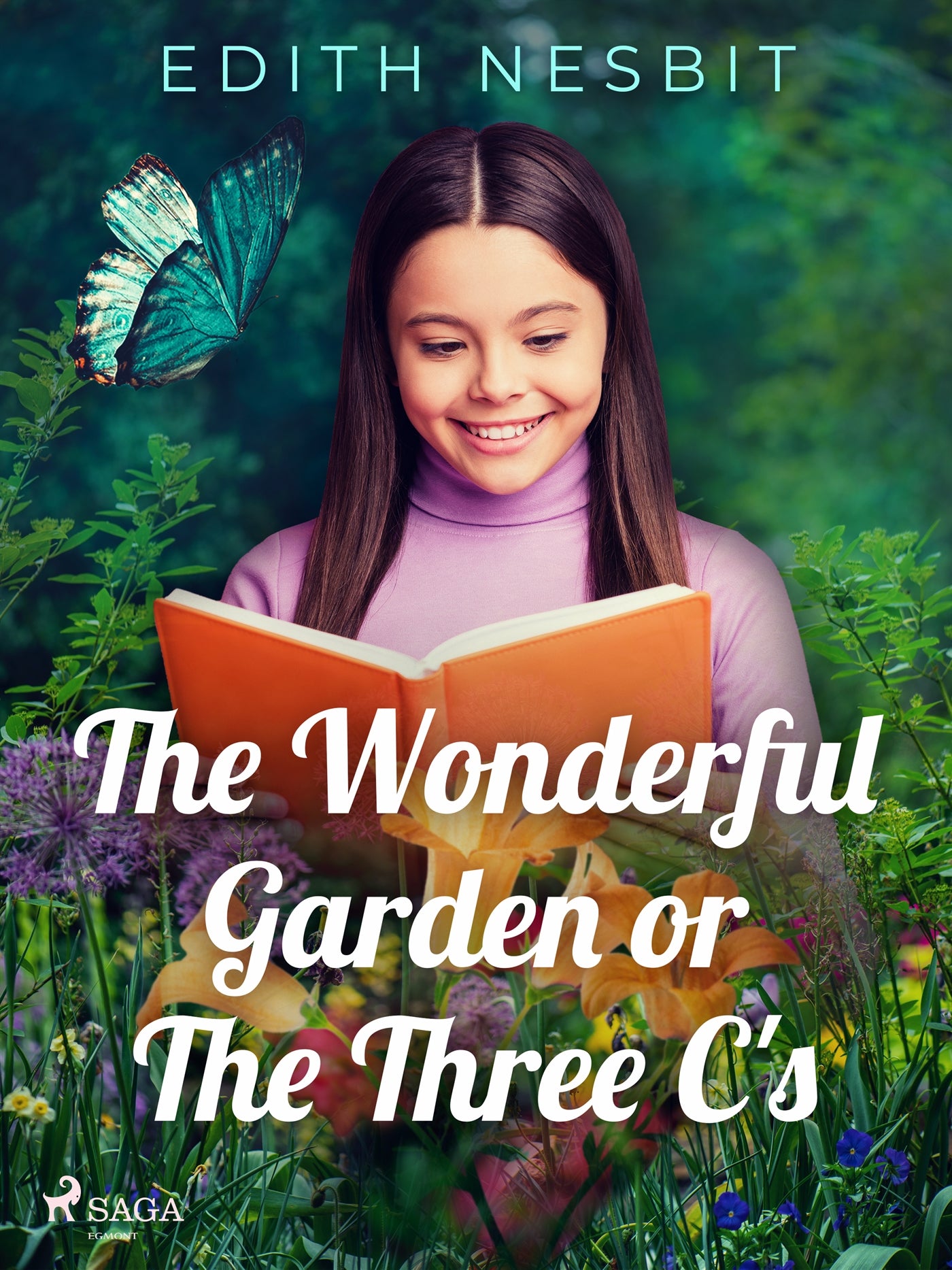 The Wonderful Garden or The Three C's – E-bok