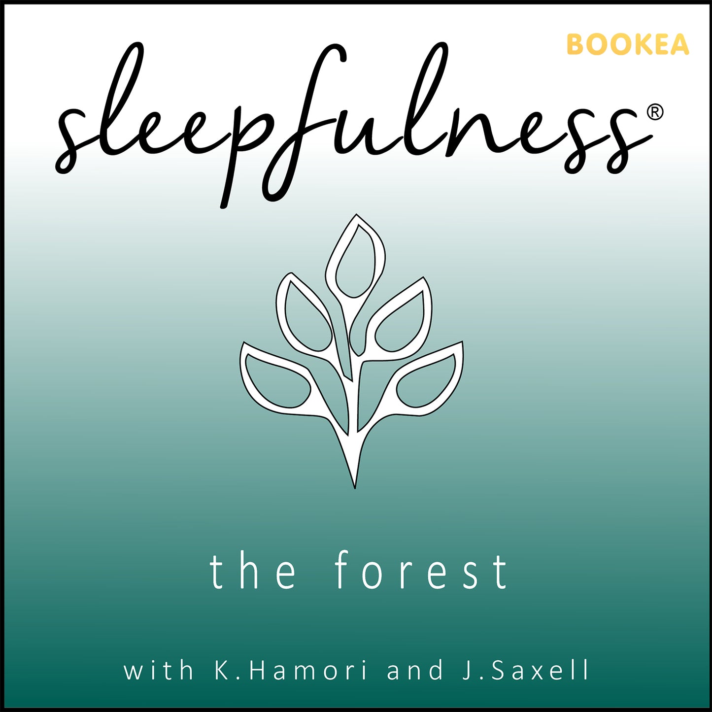 The forest - guided relaxation – Ljudbok