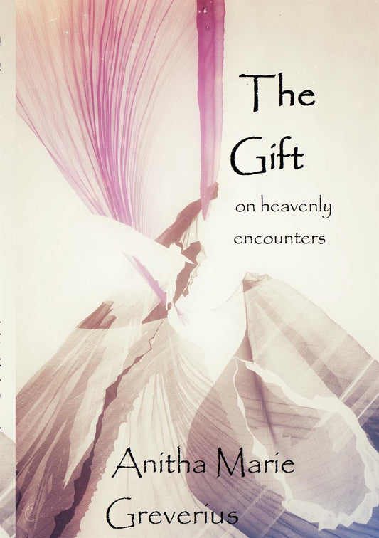The gift – E-bok