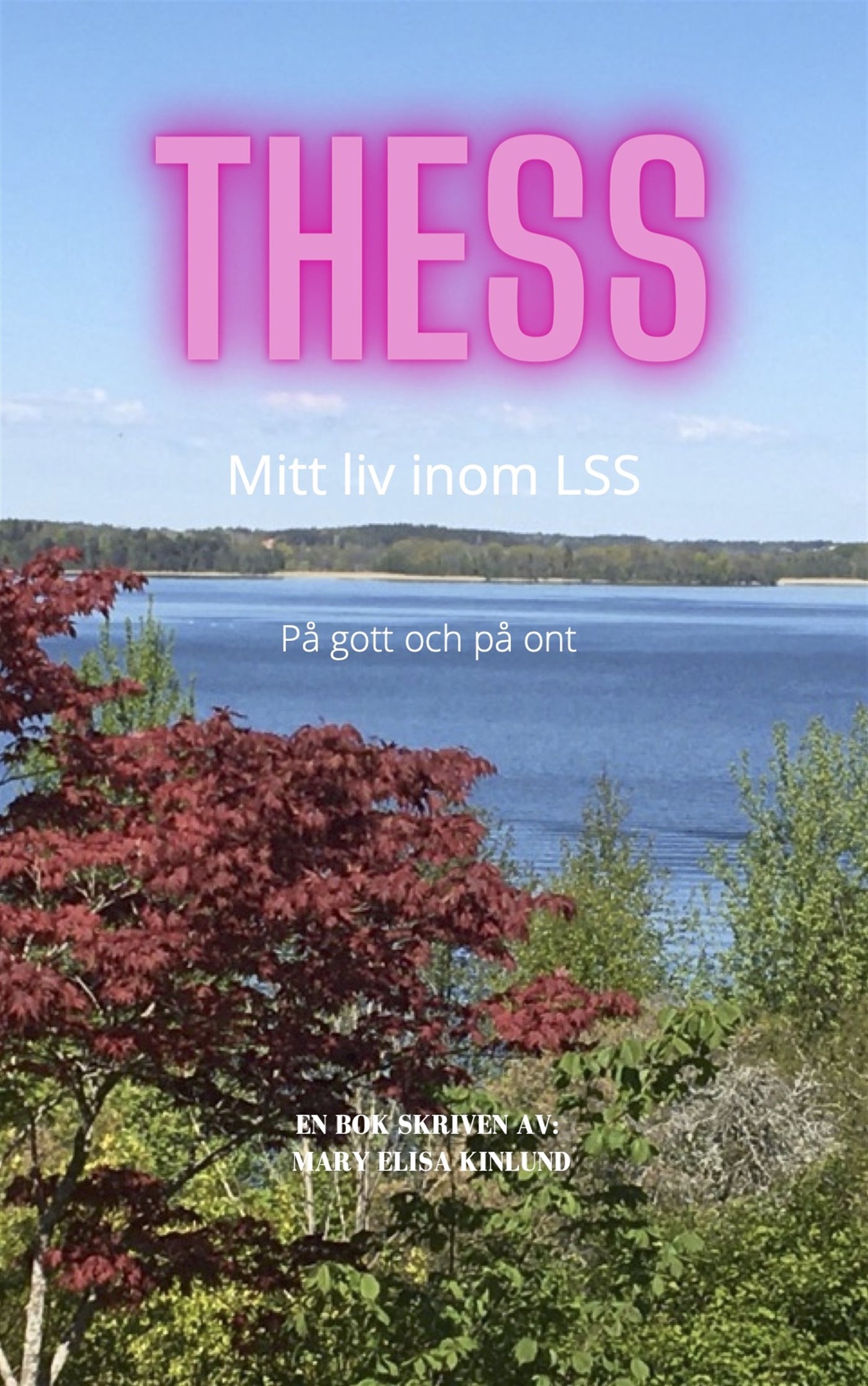Thess- Mitt liv inom LSS – E-bok
