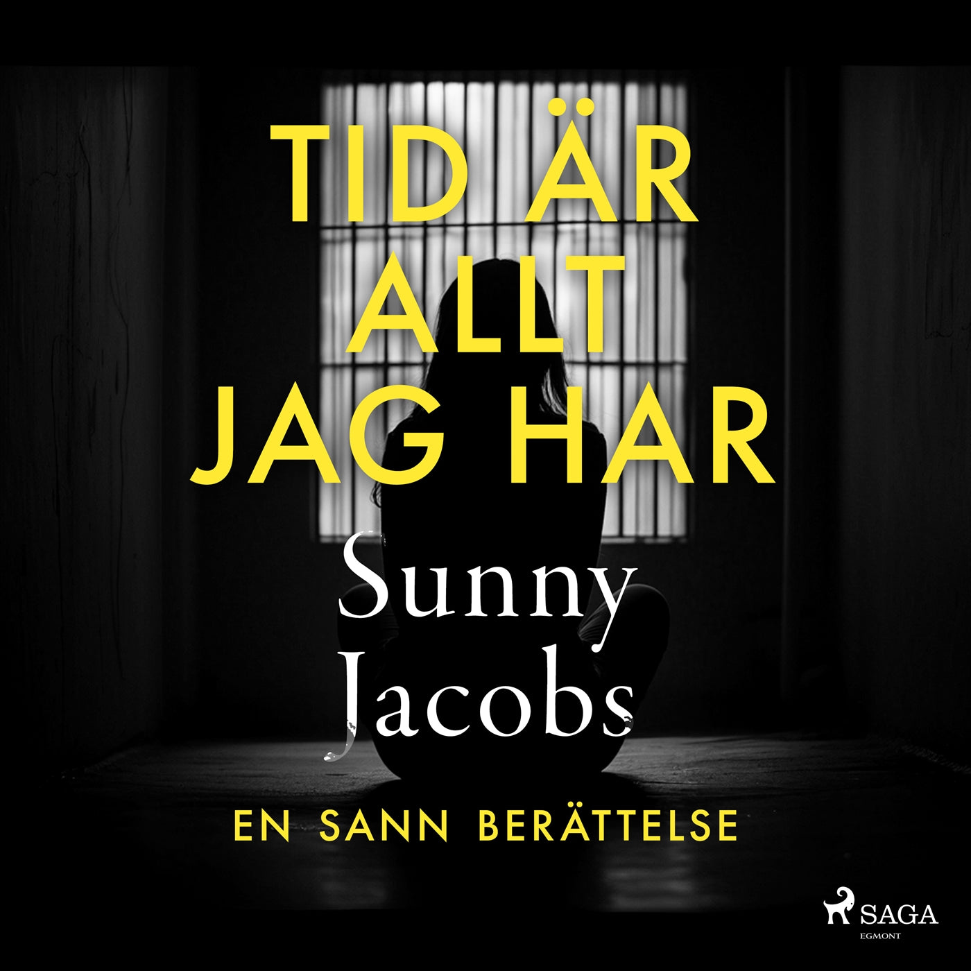 Tid är allt jag har – Ljudbok