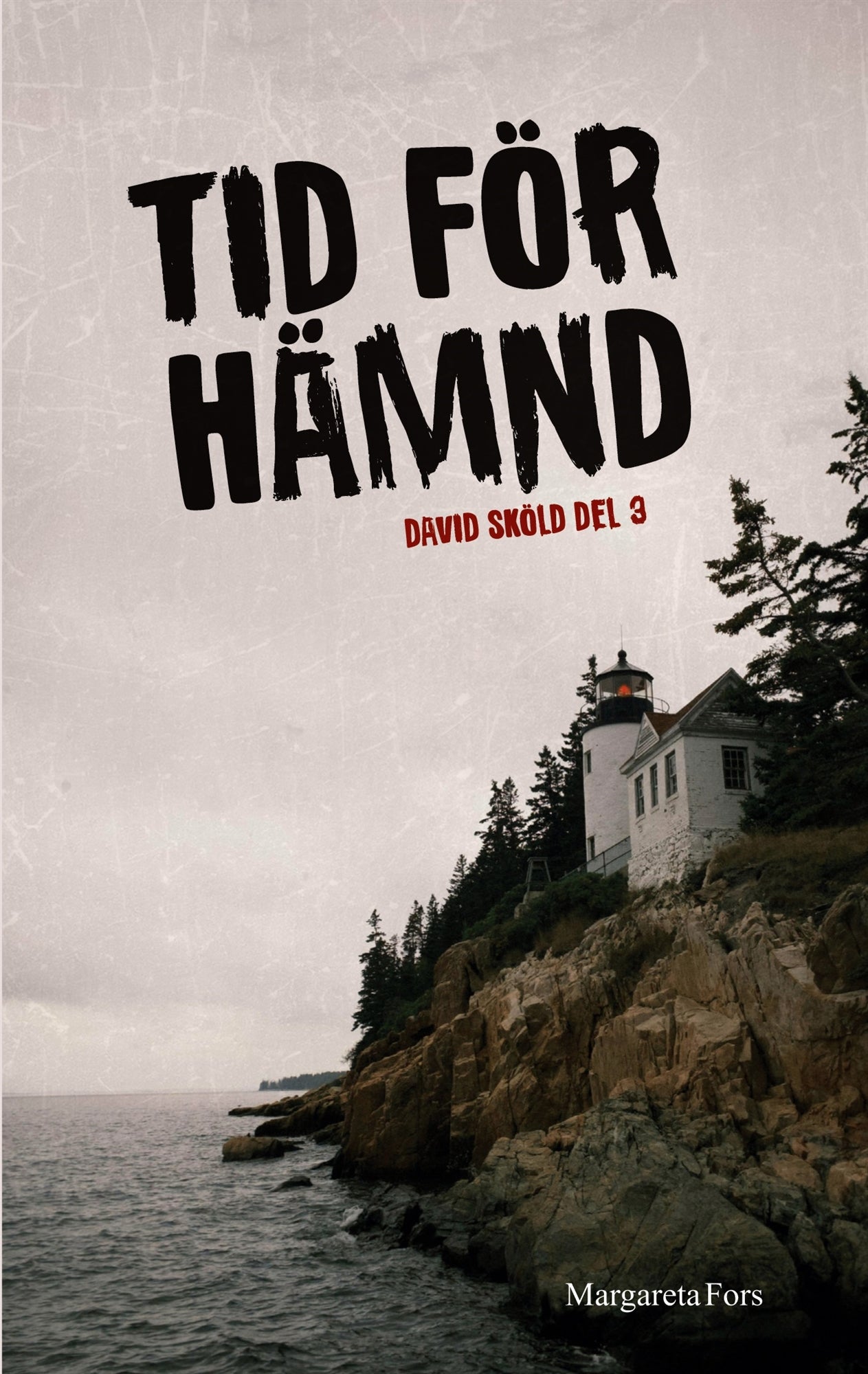 Tid för hämnd: David Sköld del 3 – E-bok