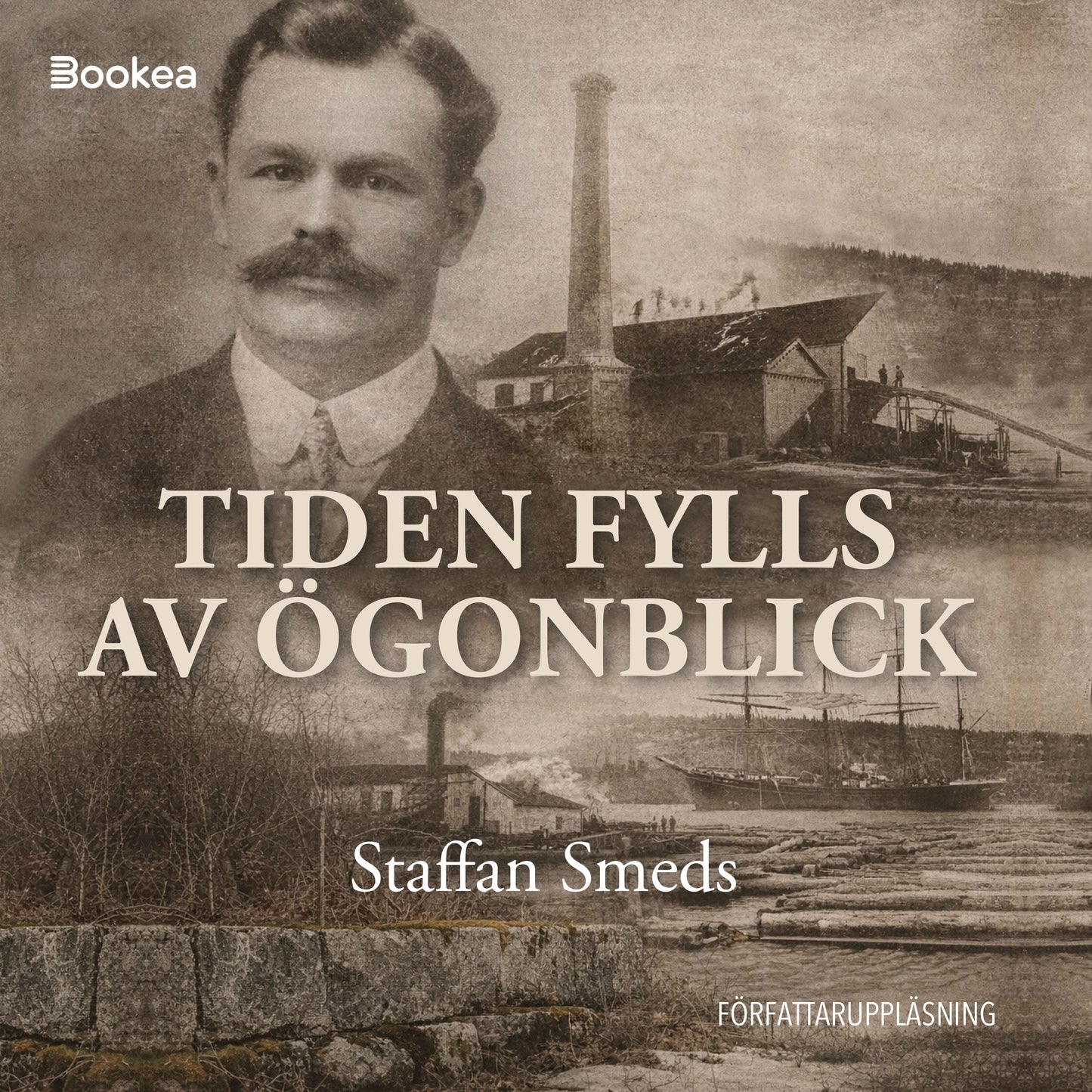 Tiden fylls av ögonblick – Ljudbok